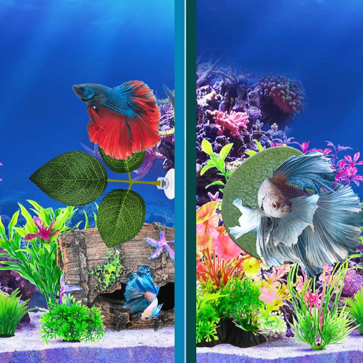 Hamaca de hojas para peces Betta Huizhou 6 PCS - Natural