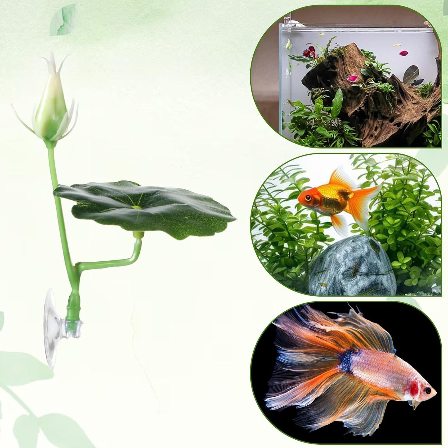 Hamaca para Pez Betta QfwdfcTrenz 3 Pcs Hoja de Loto Verde