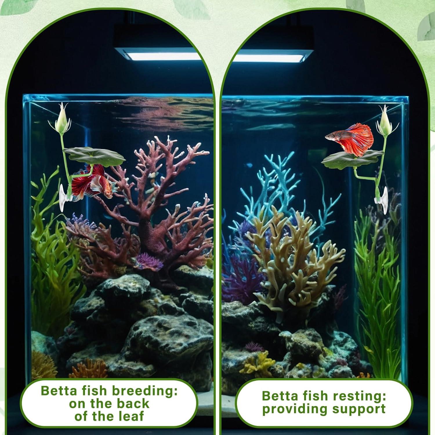 Hamaca para Pez Betta QfwdfcTrenz 3 Pcs Hoja de Loto Verde