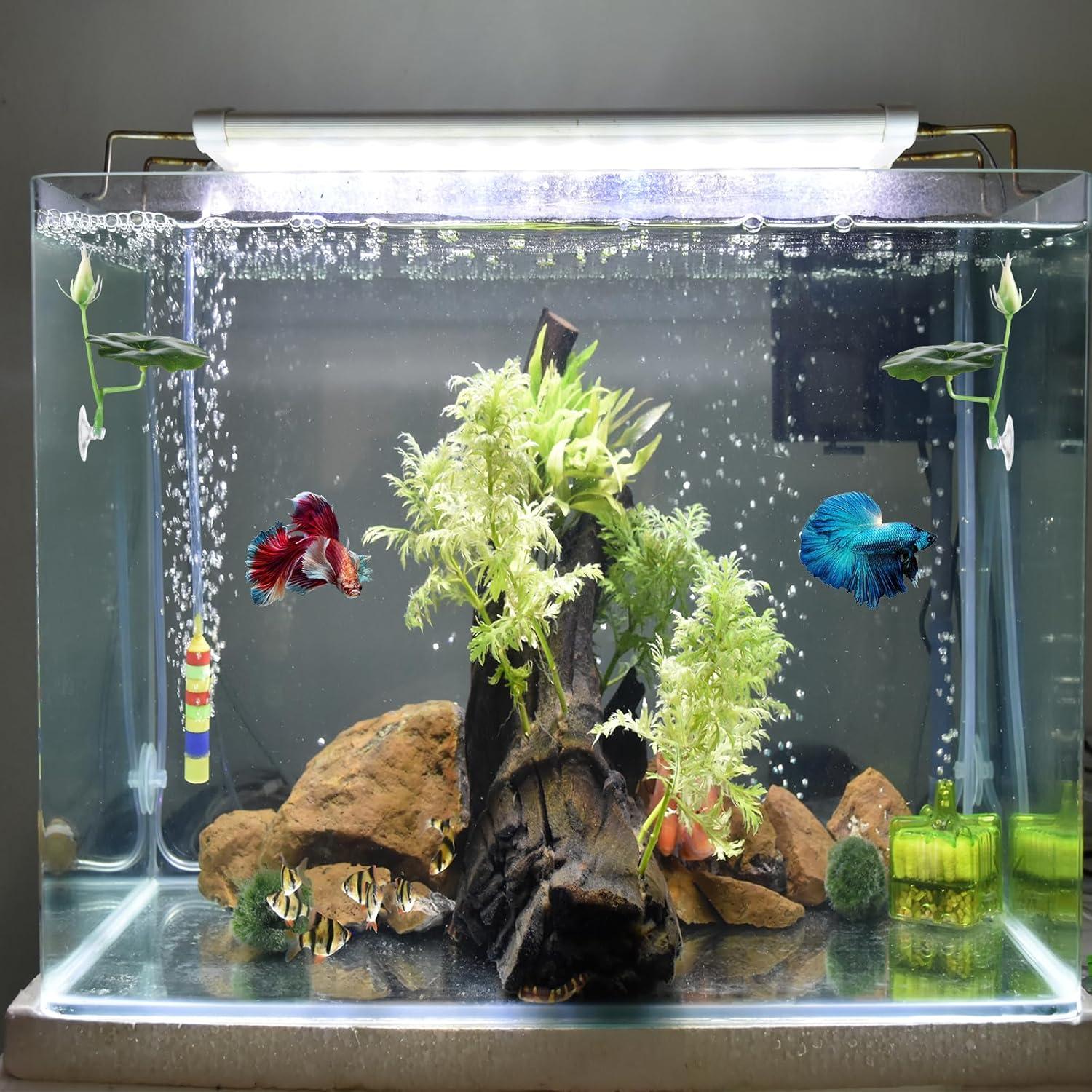 Hamaca para Pez Betta QfwdfcTrenz 3 Pcs Hoja de Loto Verde