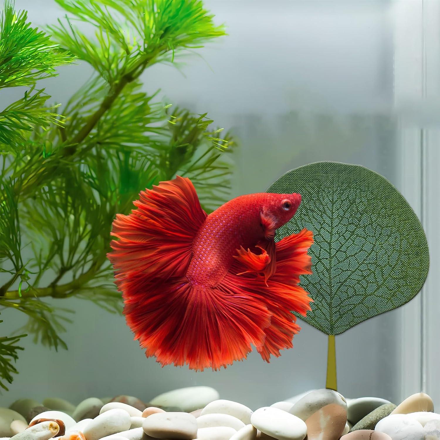 6PCS Hamaca de Hoja para Peces Betta Zyvoreliax Verde