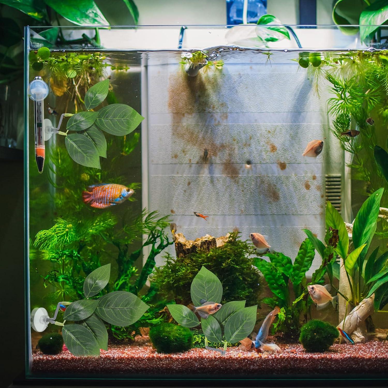 Hamacas de Hoja para Peces Betta Aphumedc - 3 Unidades Verde