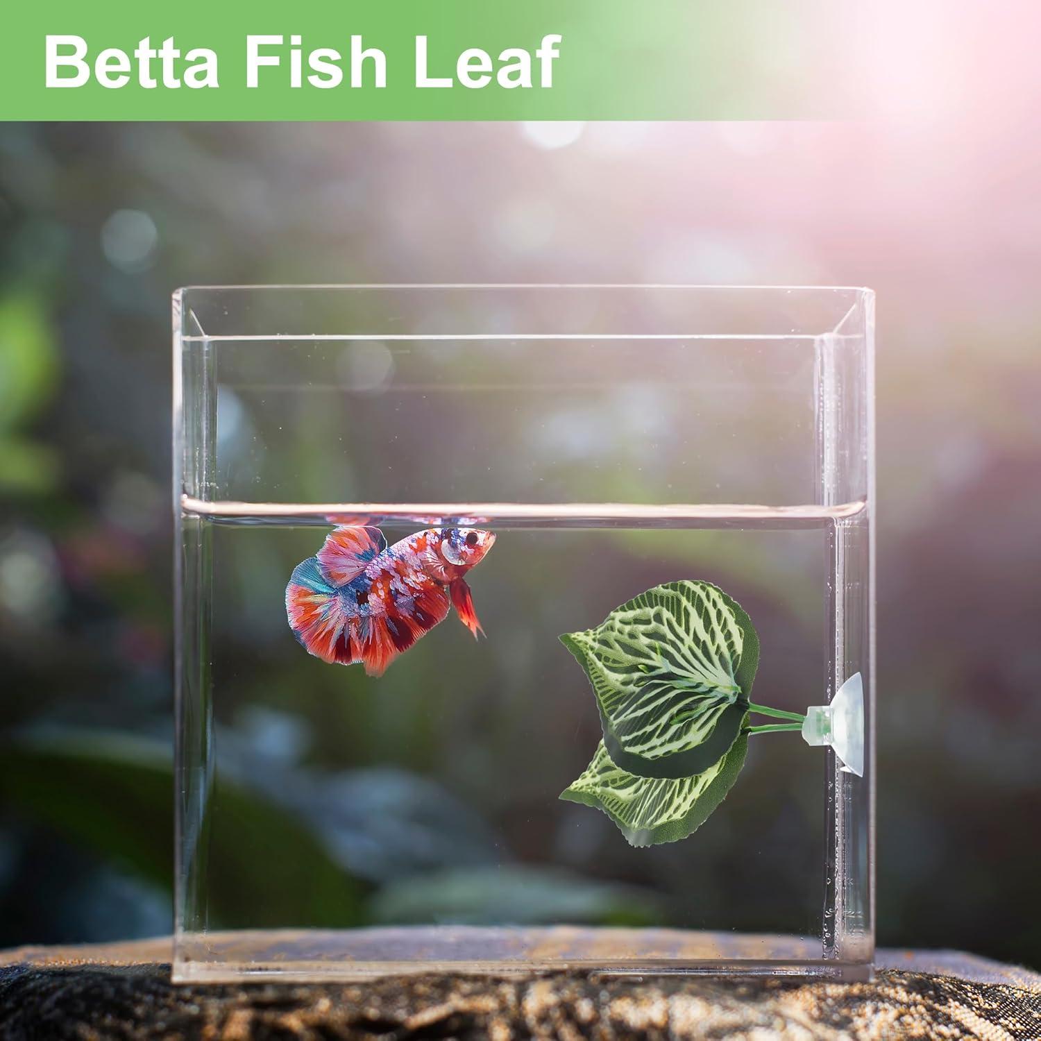 Hoja de pez Betta CAPASTEC - Simulación hábitat natural 1 pc