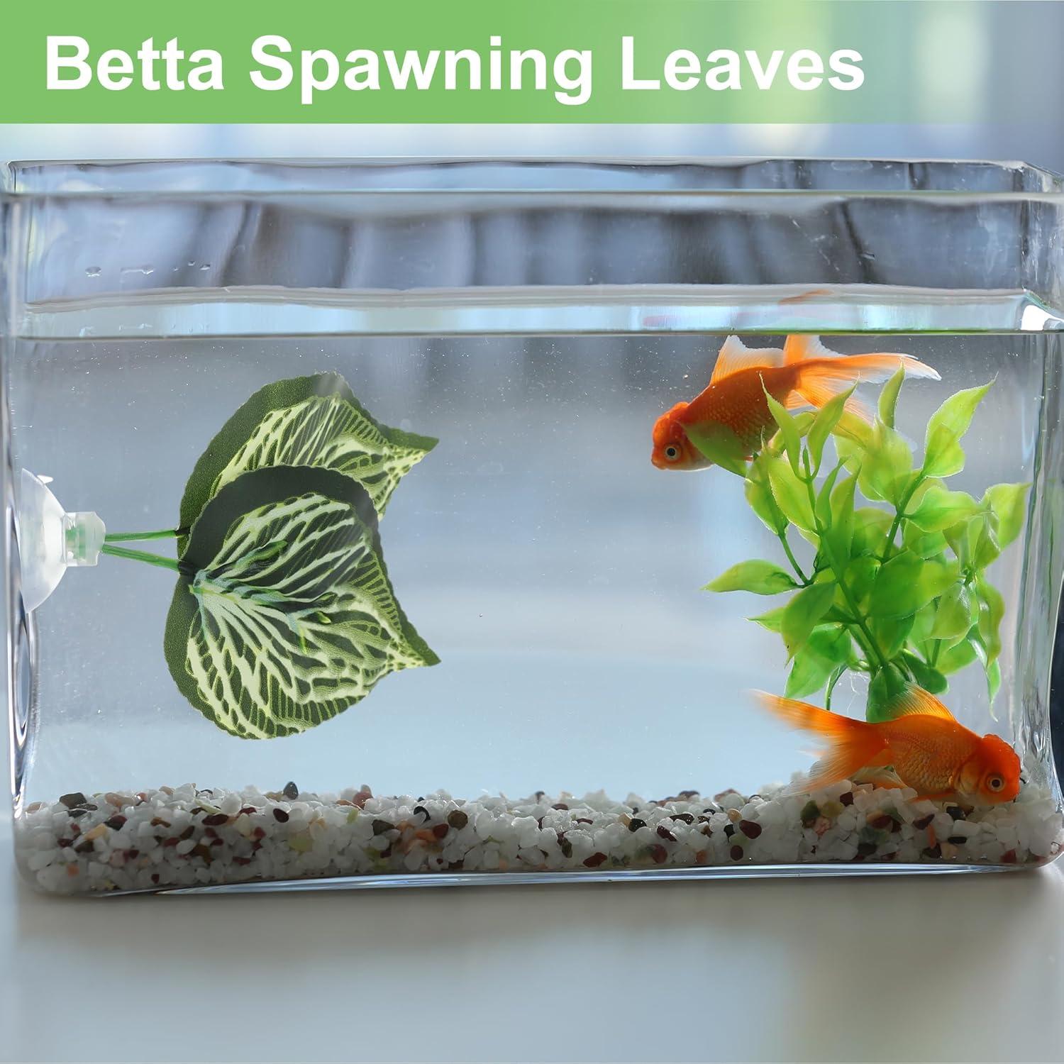 Hoja de pez Betta CAPASTEC - Simulación hábitat natural 1 pc