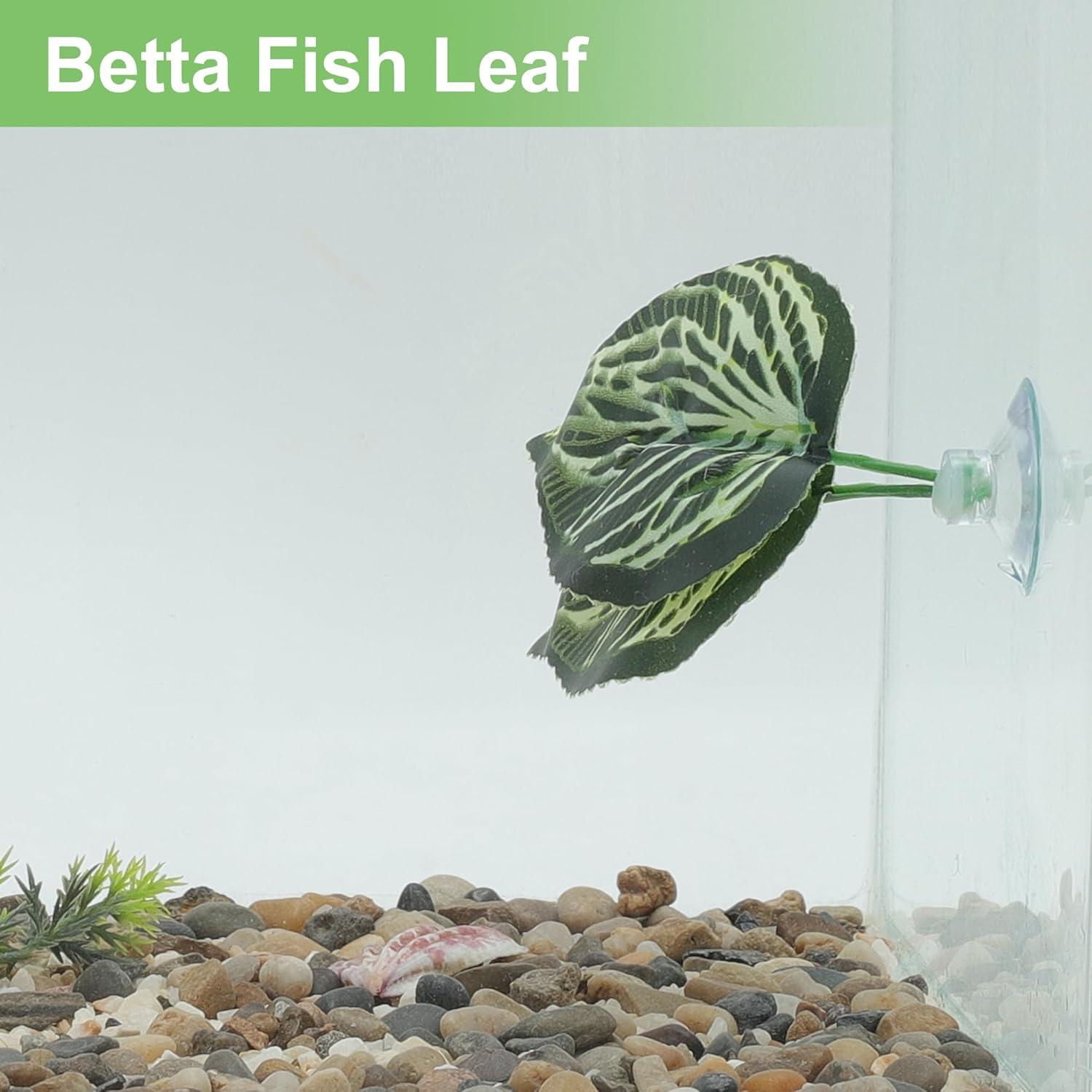 Hoja de pez Betta CAPASTEC - Simulación hábitat natural 1 pc