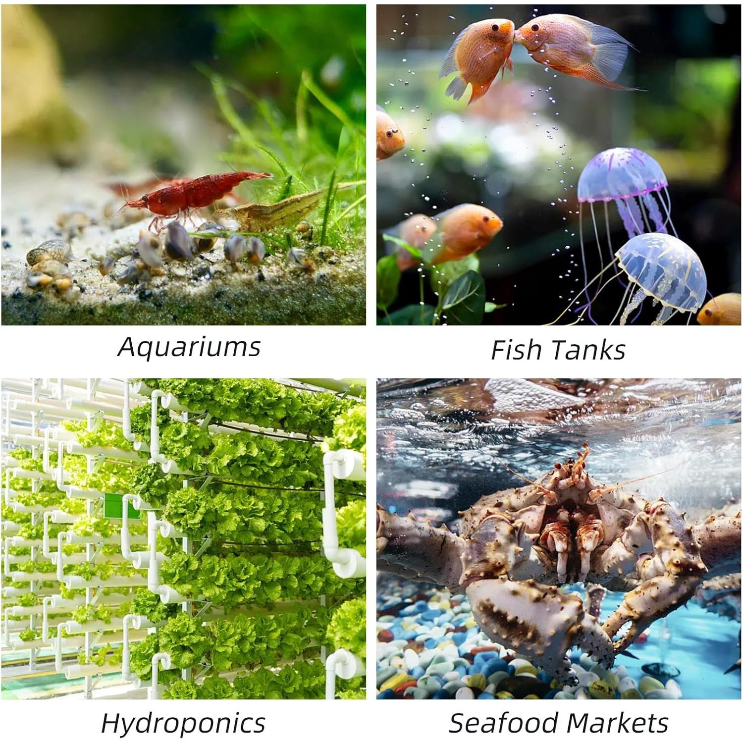 Piedra de Aire Nano Rise Torrent 10 cm para Acuarios y Hidropónicos