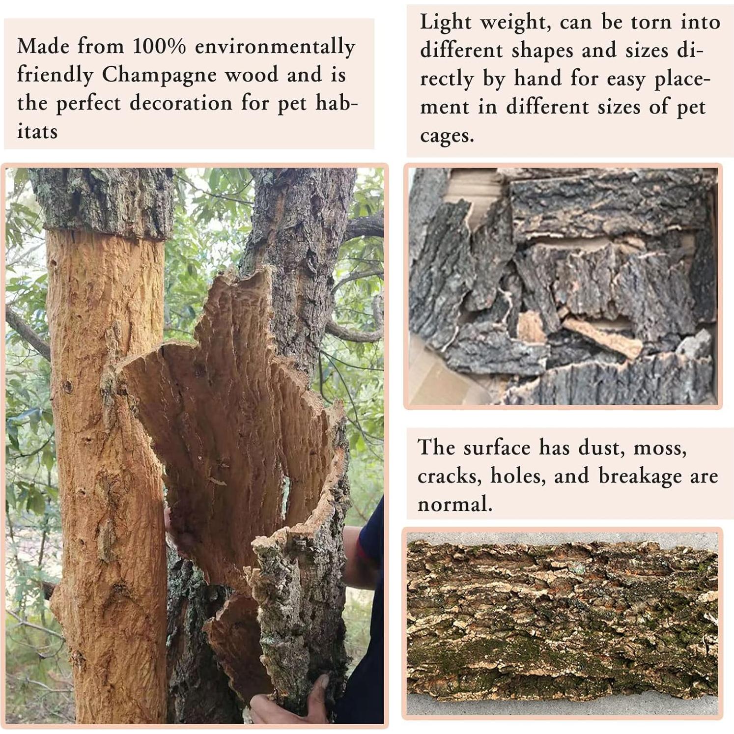 Fondo de Corteza de Corcho Tfwadmx 2Pcs 40x30cm para Reptiles