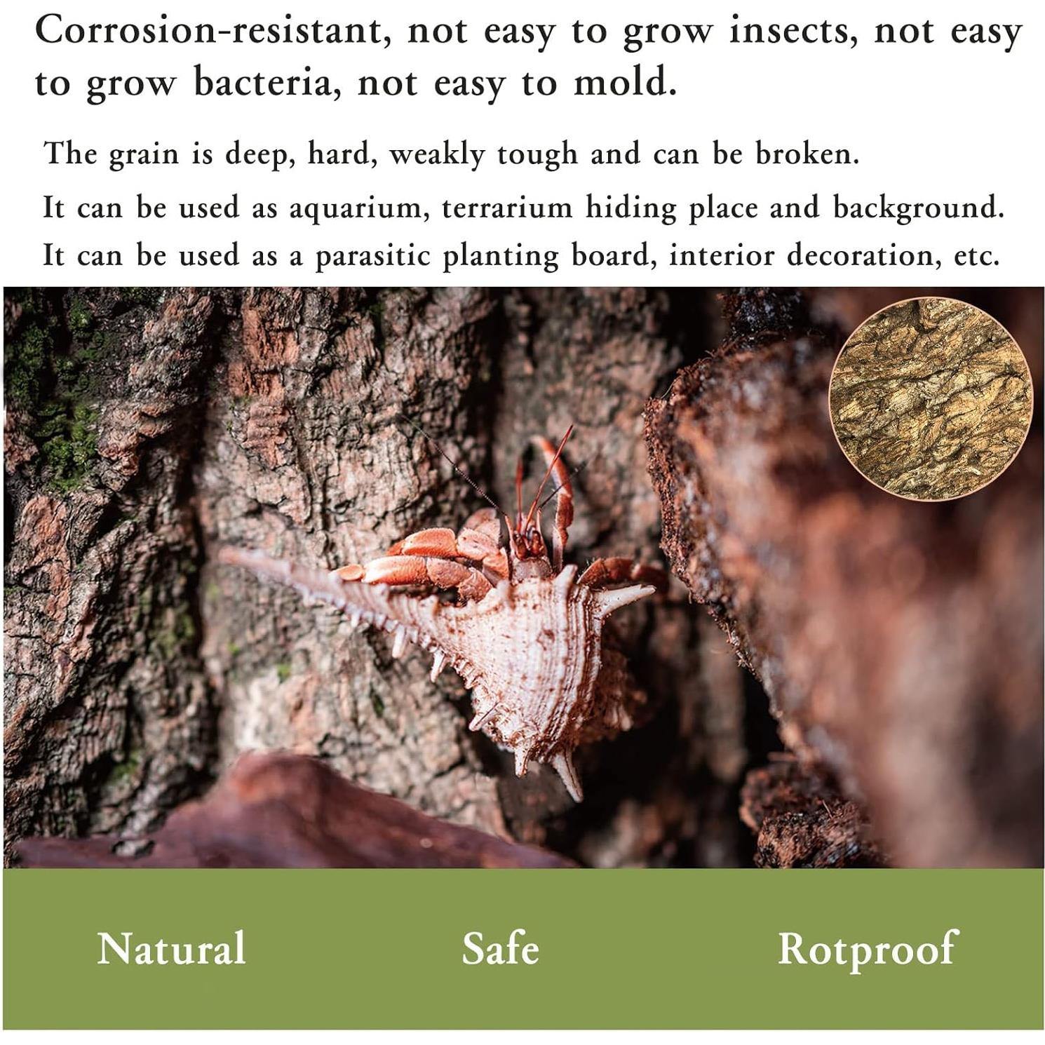 Fondo de Corteza de Corcho Tfwadmx 2Pcs 40x30cm para Reptiles