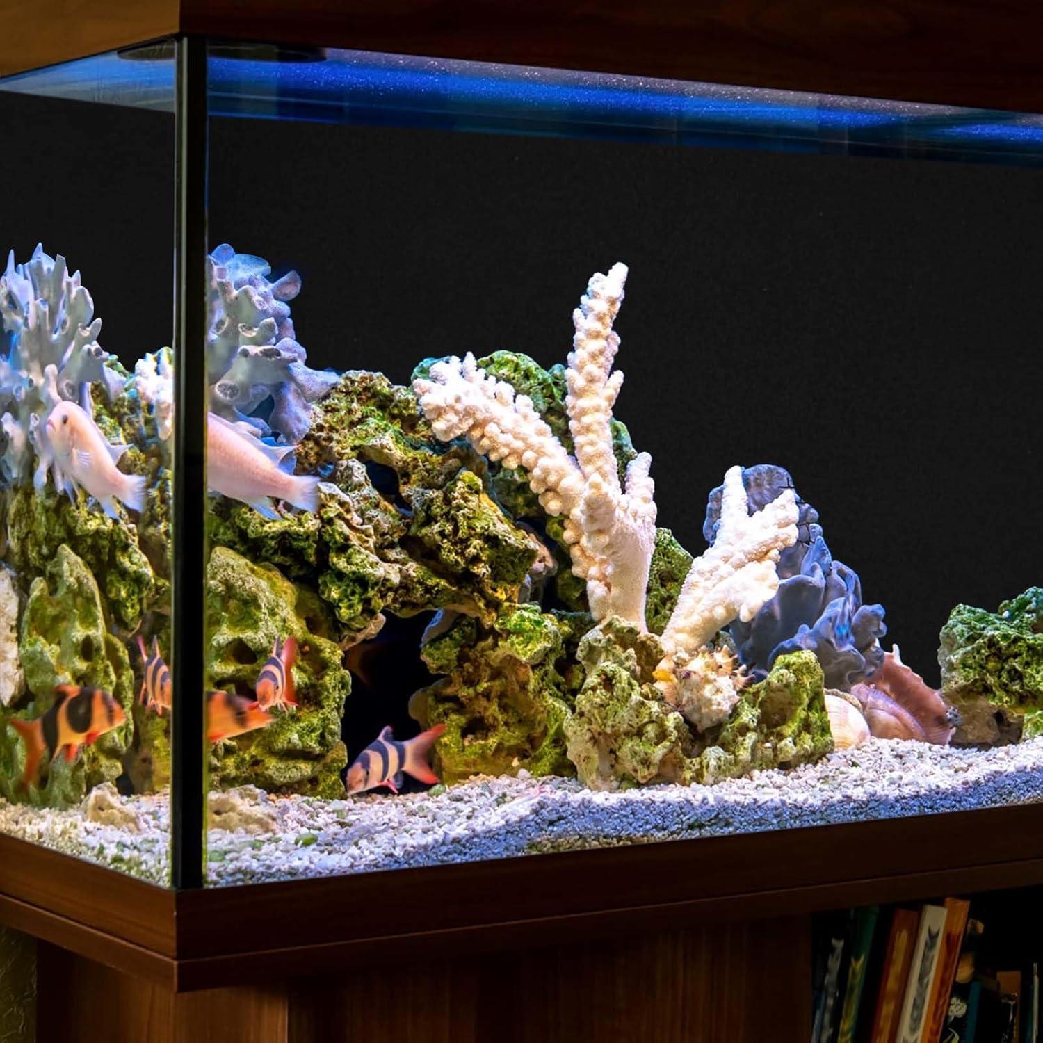 Fondo de Acuario Adherente Negro 40x100cm Lasuroa