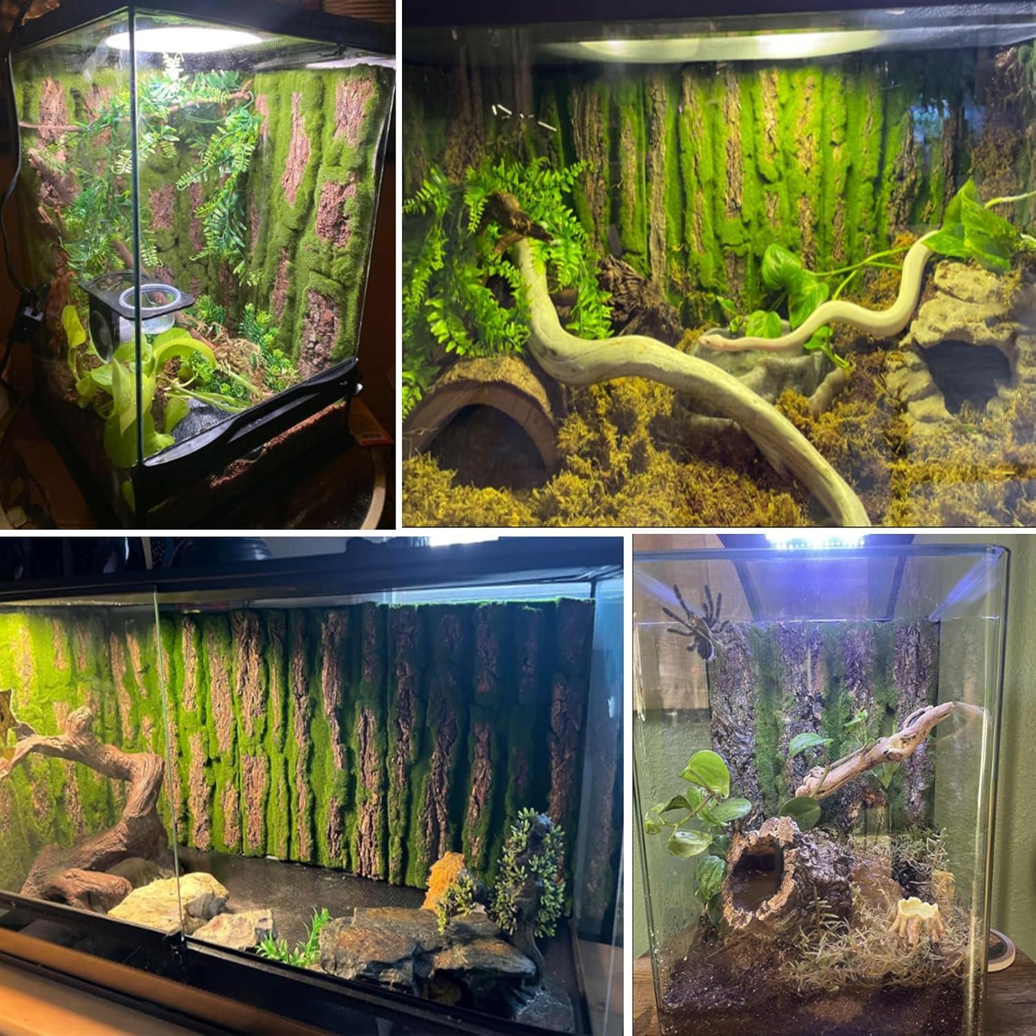 Fondo de Corcho para Terrario Reptiles Kathson 2 Piezas 40x30cm