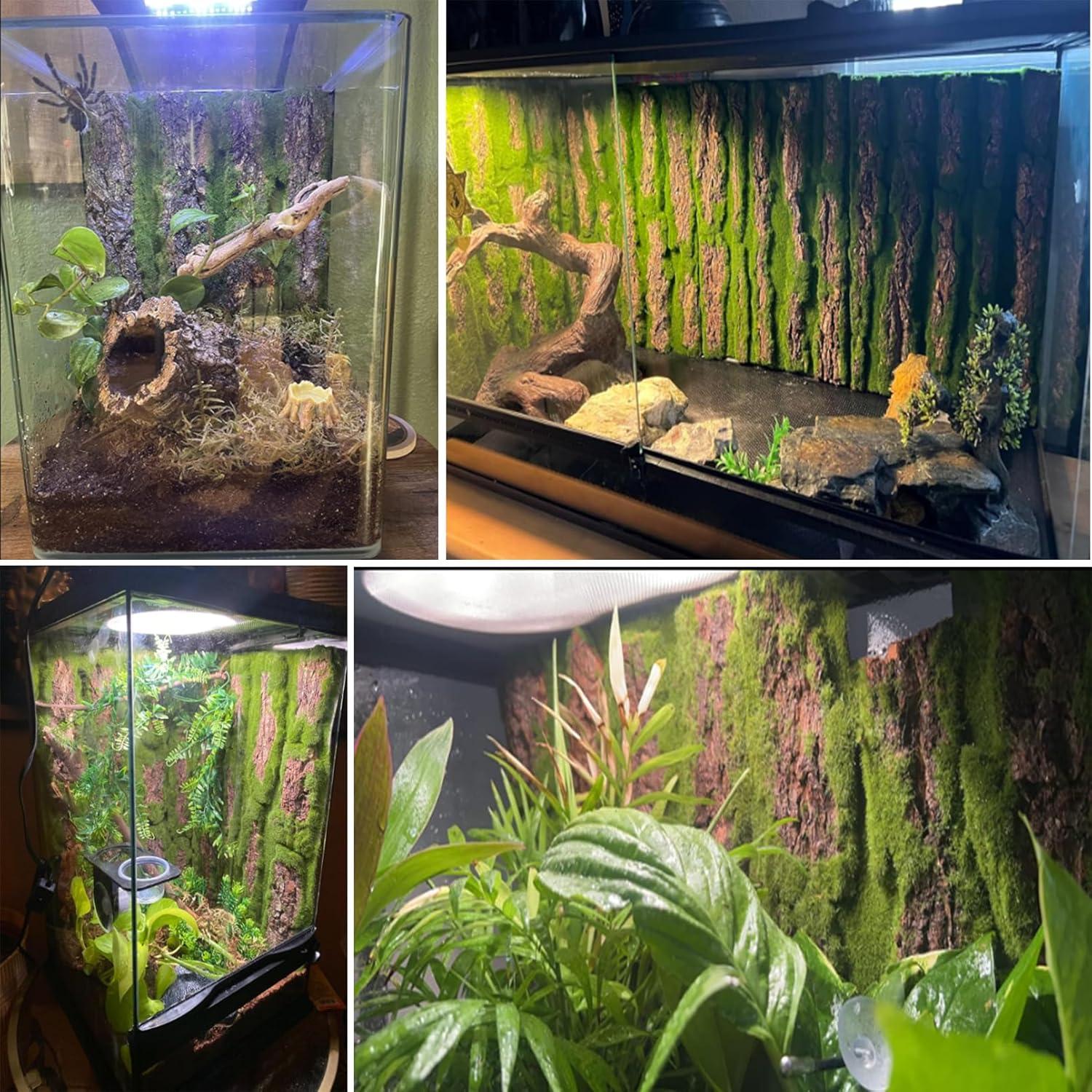 Fondo de Corcho para Terrario Reptiles Kathson 2 Piezas 40x30cm