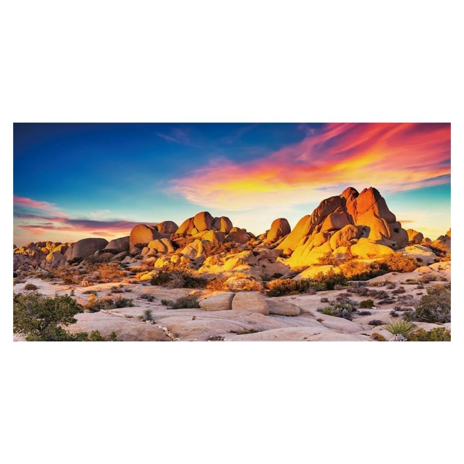 Fondo de Terrario para Reptiles YongFoto 91x46 cm Desierto Rocoso