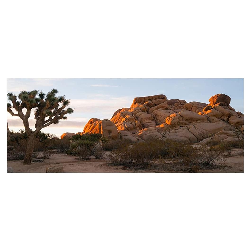 Fondo de Terrario OERJU 75x30cm Tela de Poliester Natural