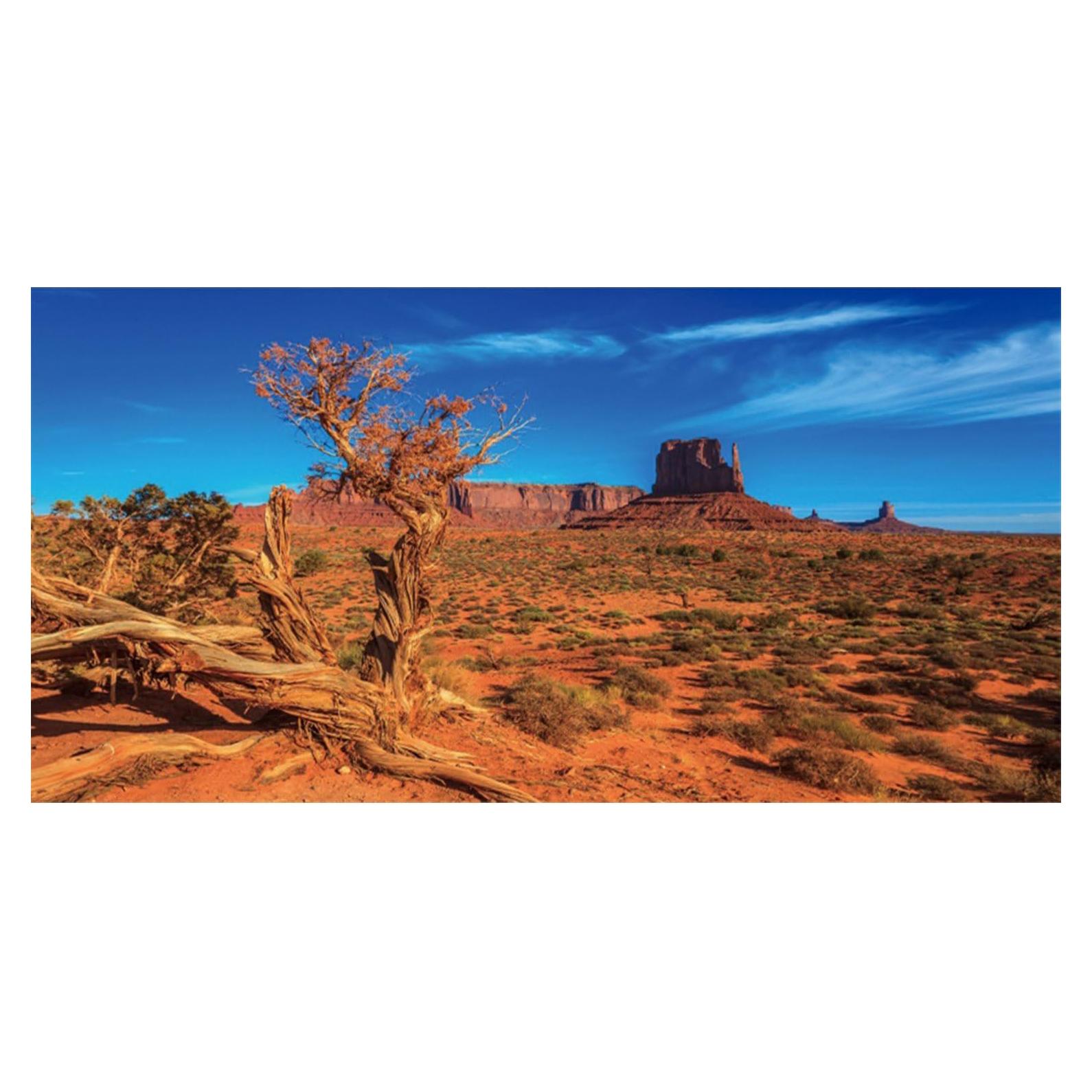 Fondo de Terrario AWERT 122x61 cm Cactus Desierto Naranja