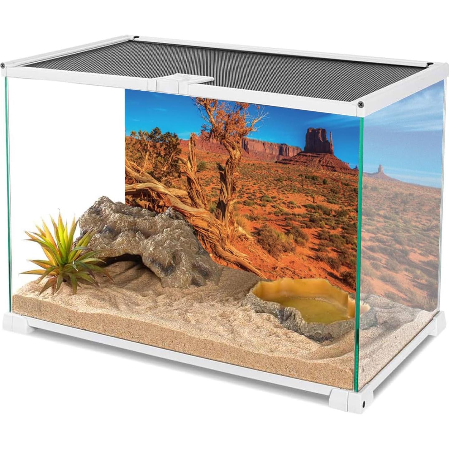 Fondo de Terrario AWERT 122x61 cm Cactus Desierto Naranja