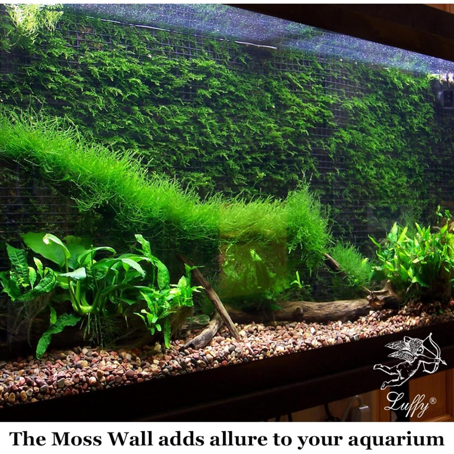 Pared de Musgo Acuático Luffy 30x20cm para Acuarios
