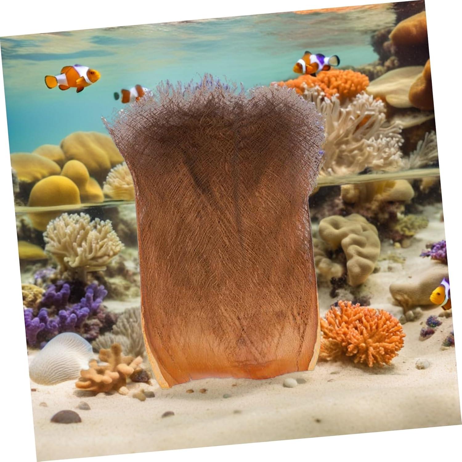 5 Hojas de Corteza de Palma Natural UKCOCO para Jardín