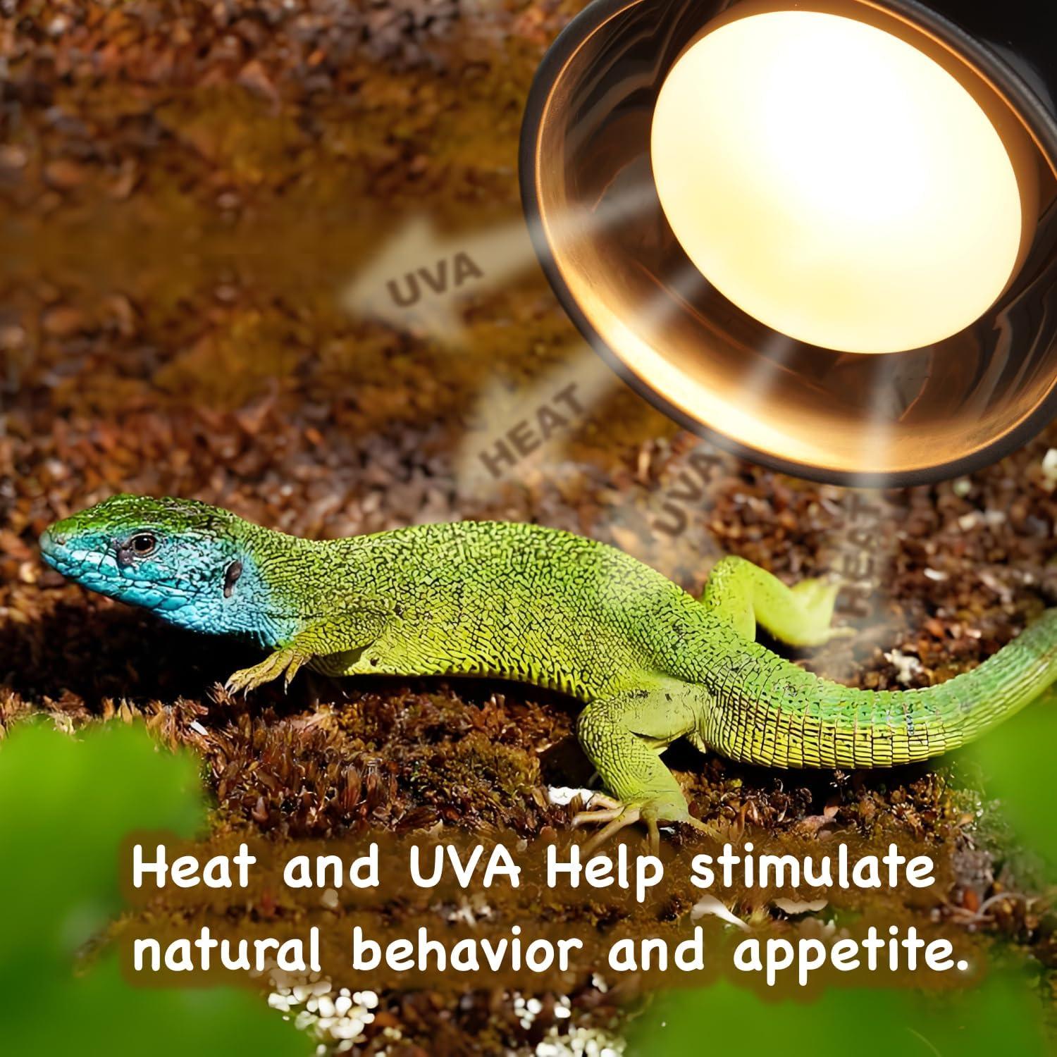 Bombilla de Calor UVA 100W ReptiKing para Reptiles