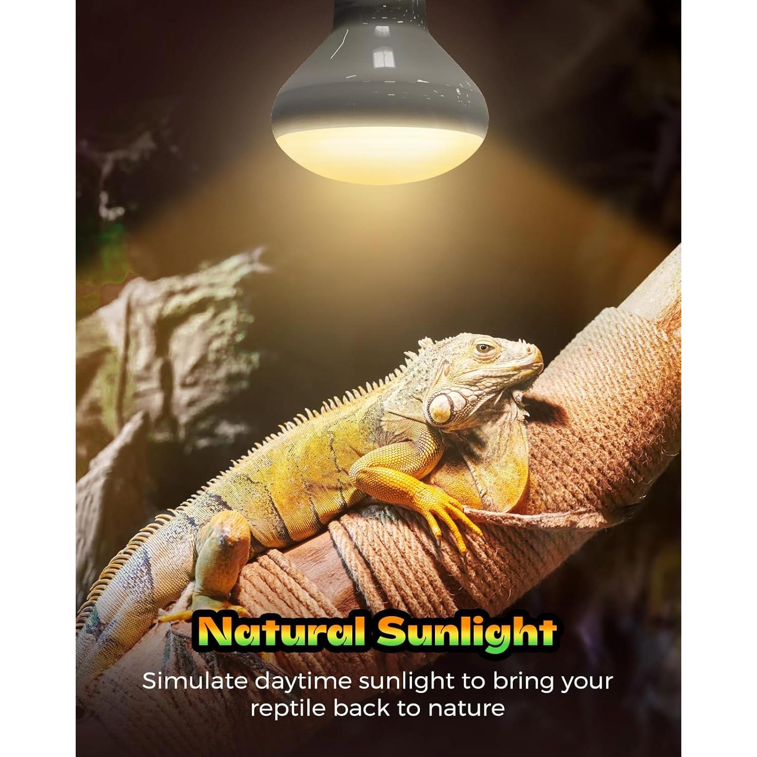 Lámpara de Calor para Reptiles Haceryc 100W - Paquete de 2