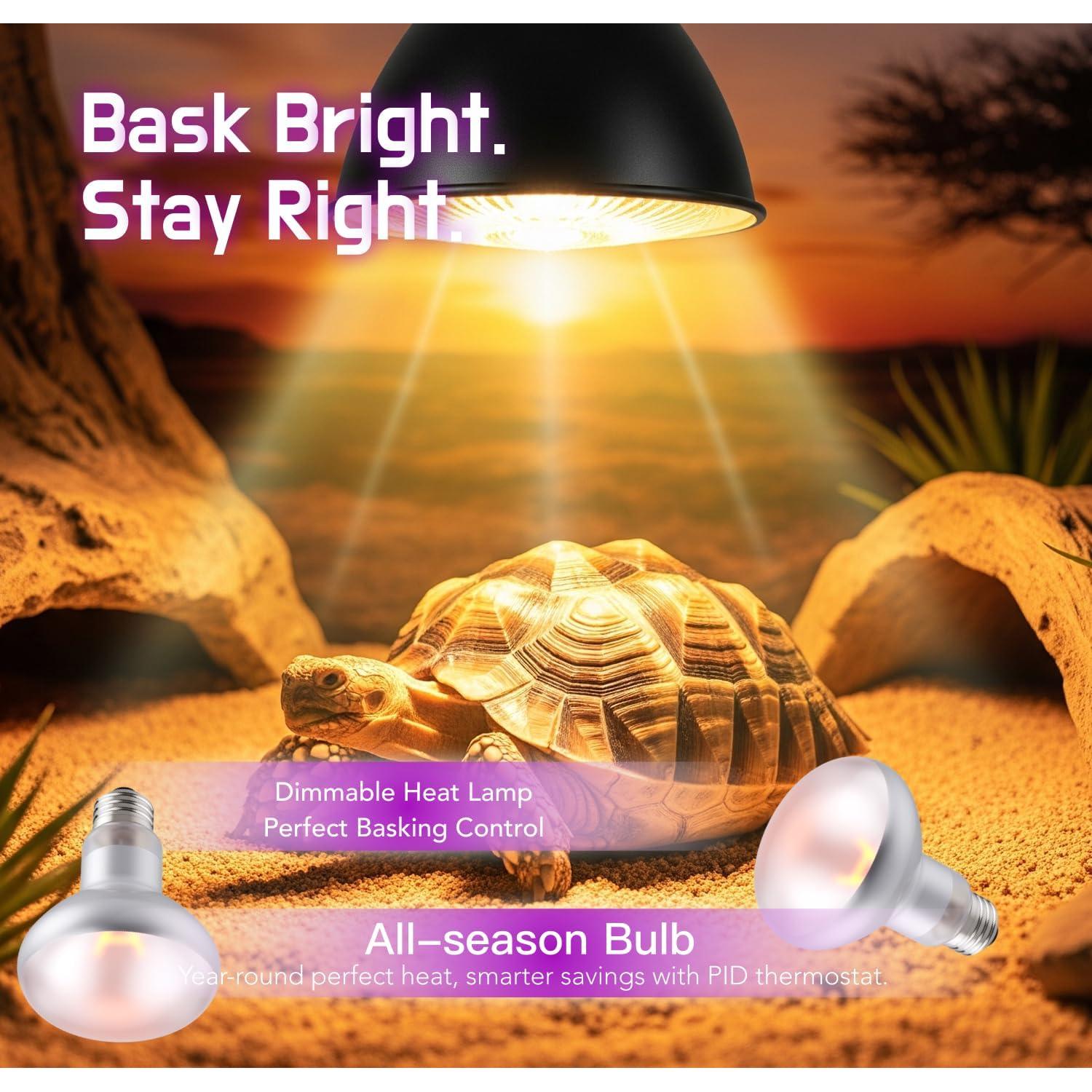 Lámpara de Calor ReptiKing 75W para Reptiles - Paquete de 2