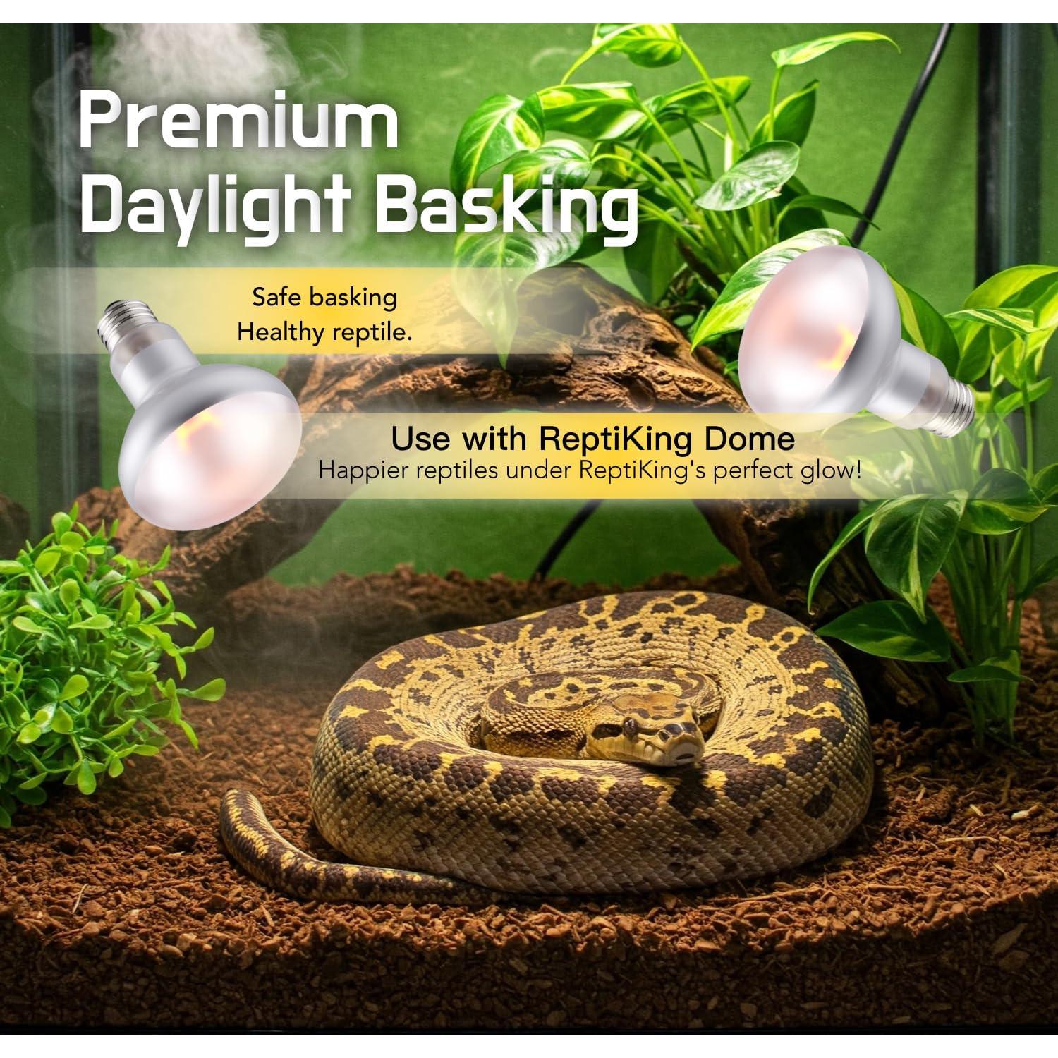 Lámpara de Calor ReptiKing 75W para Reptiles - Paquete de 2