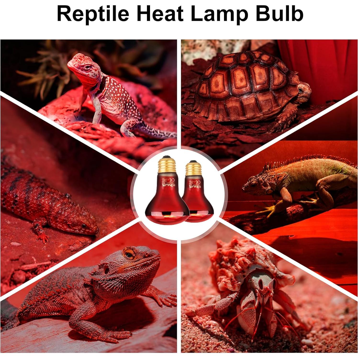 Lámpara de Calor Infrarrojo KINUR 75W E26 para Reptiles - Paquete de 2