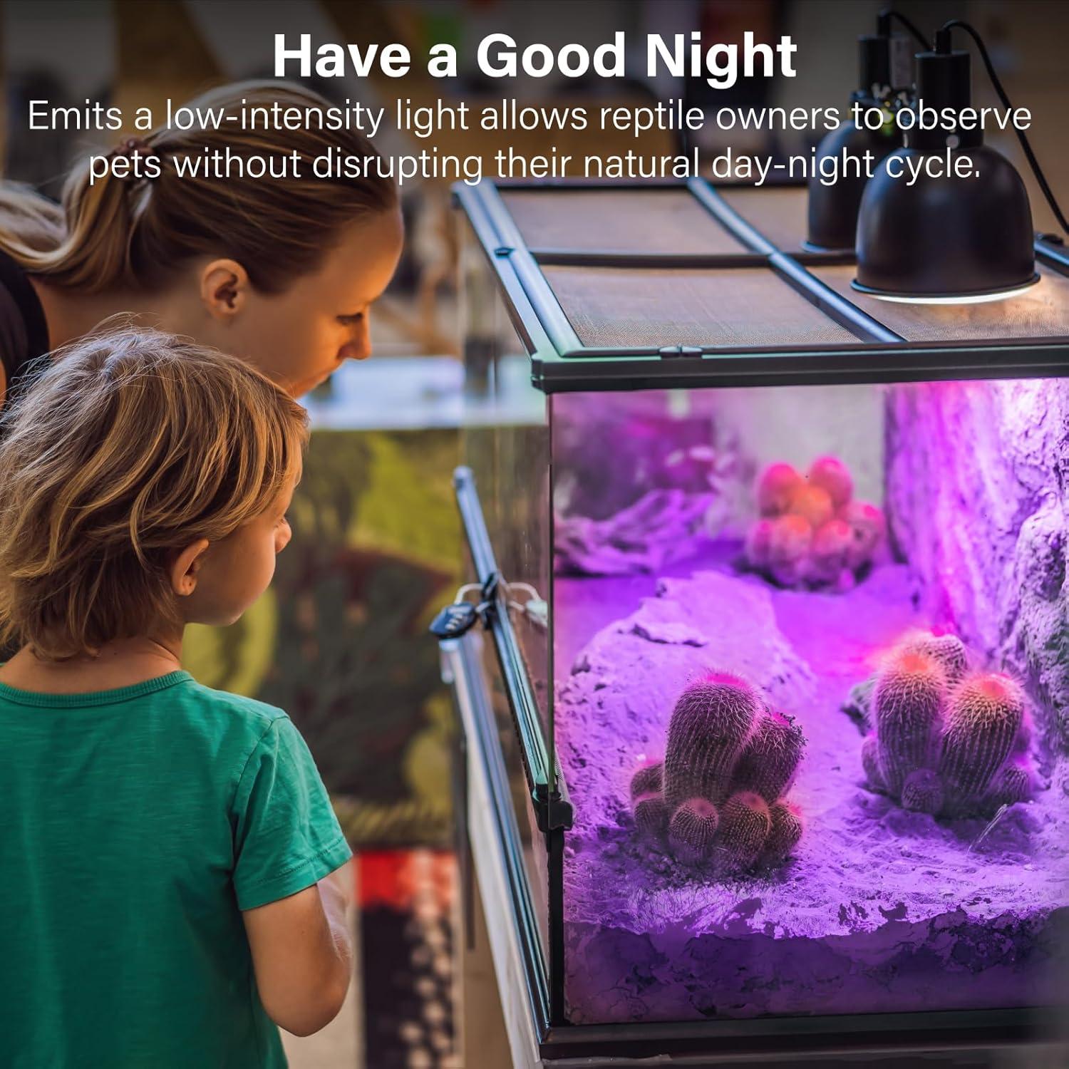 Bombillas de Calor Nocturna 100W Lustaled para Reptiles - 2 Paquete