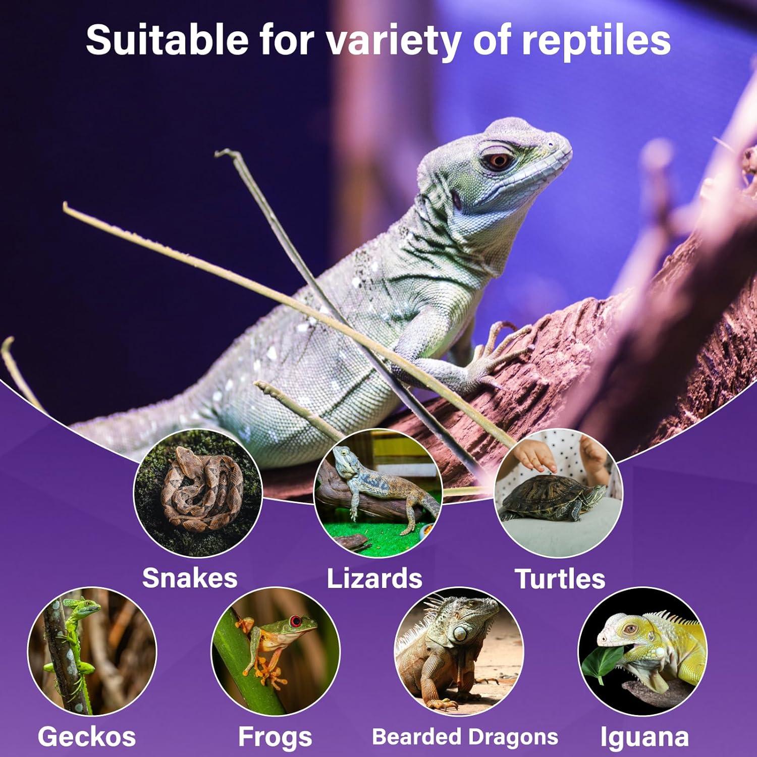 Bombillas de Calor Nocturna 100W Lustaled para Reptiles - 2 Paquete