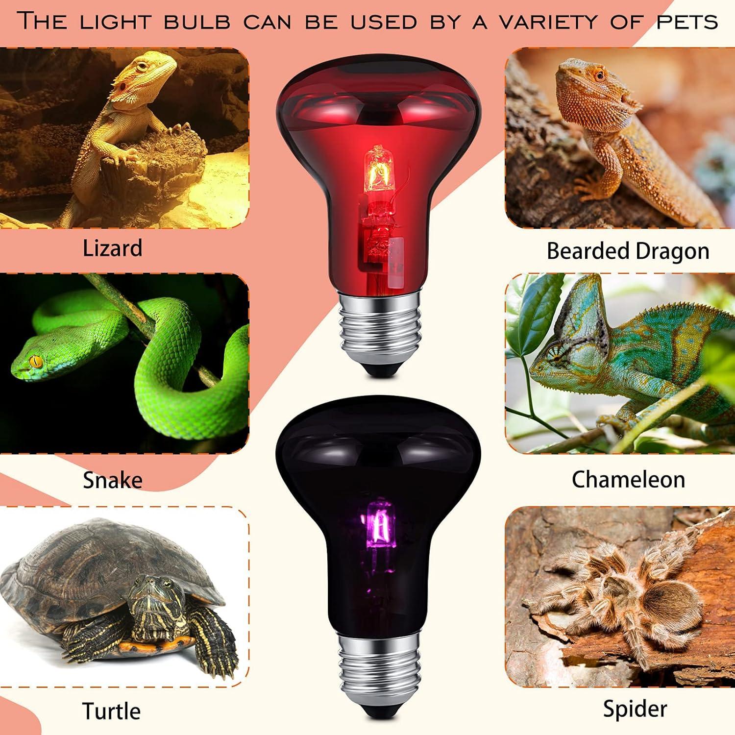 4 Lámparas de Calor Nocturno 75W UVA Honoson para Reptiles