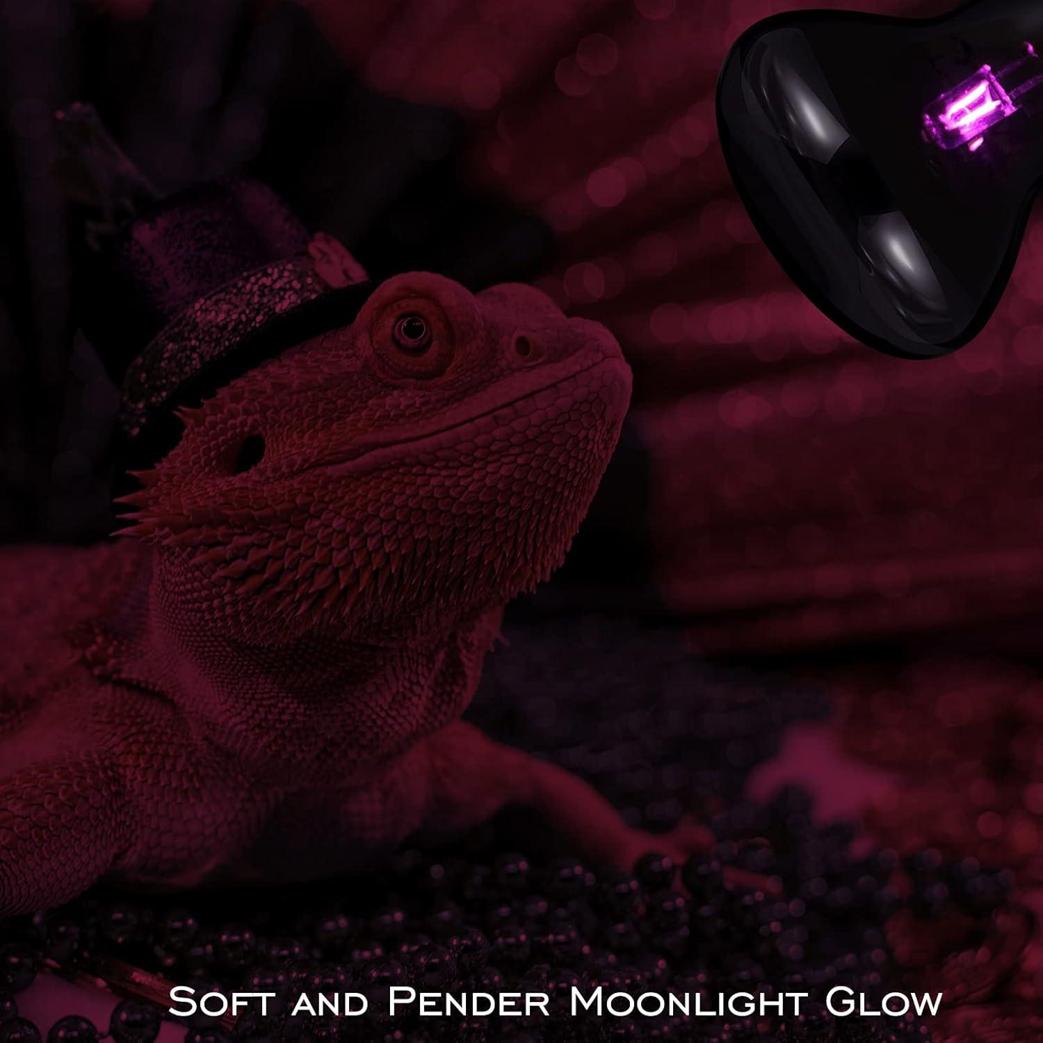 4 Lámparas de Calor Nocturno 75W UVA Honoson para Reptiles