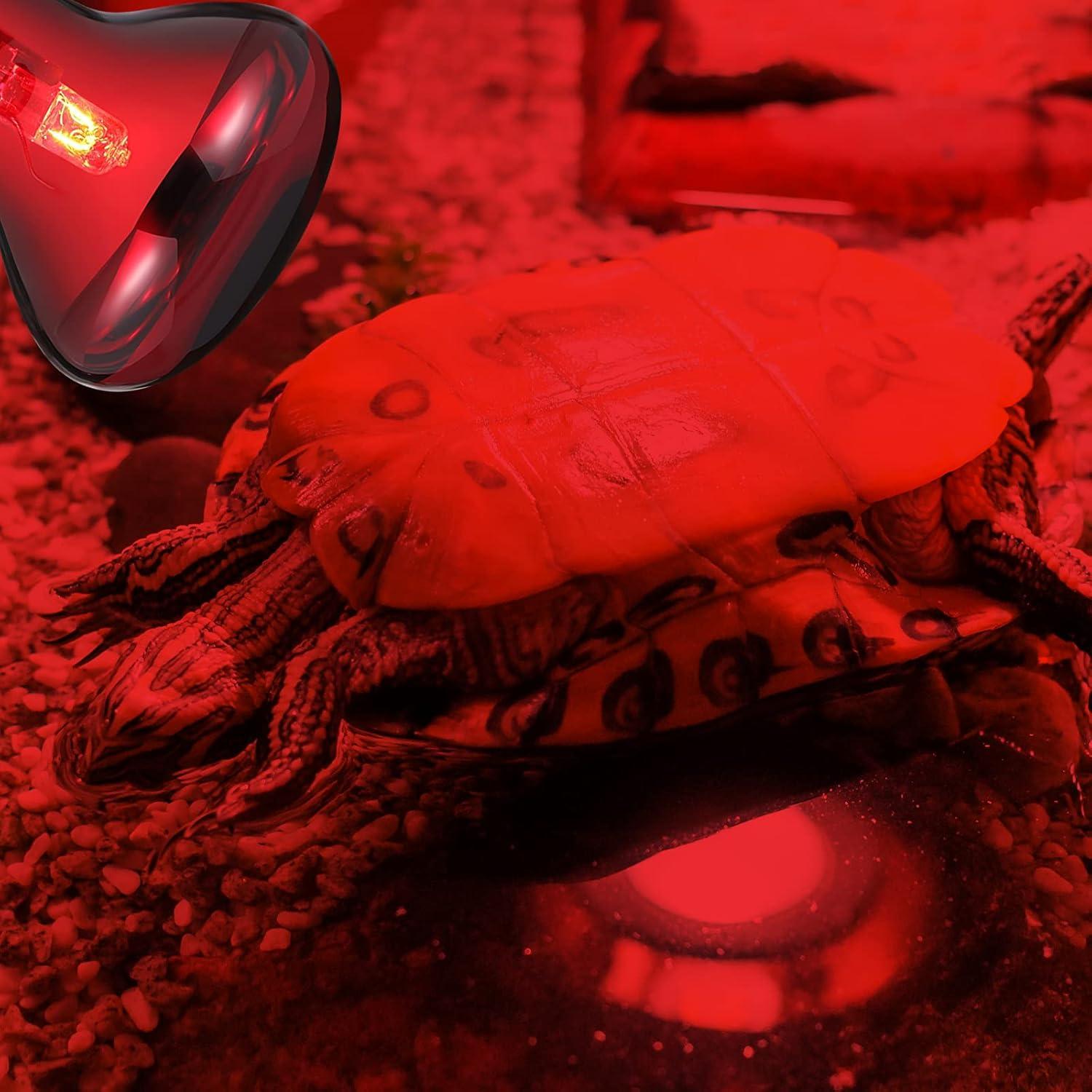 4 Lámparas de Calor Nocturno 75W UVA Honoson para Reptiles