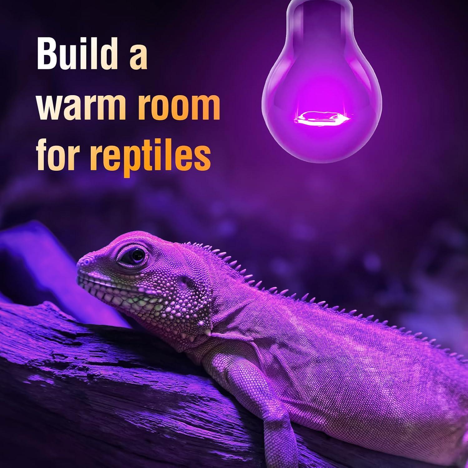 Bombilla de Calor Nocturna Leoterra 75W para Reptiles