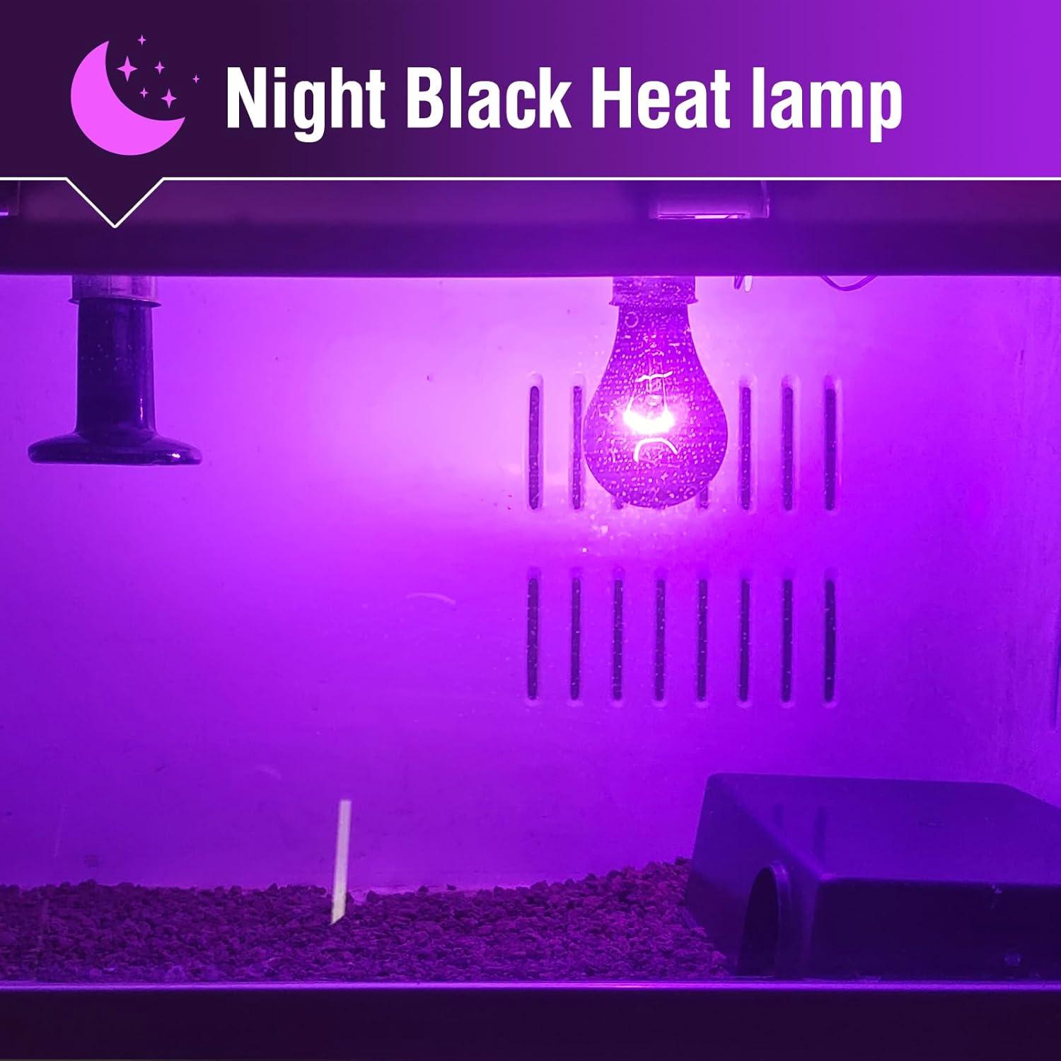 Bombilla de Calor Nocturna Leoterra 75W para Reptiles