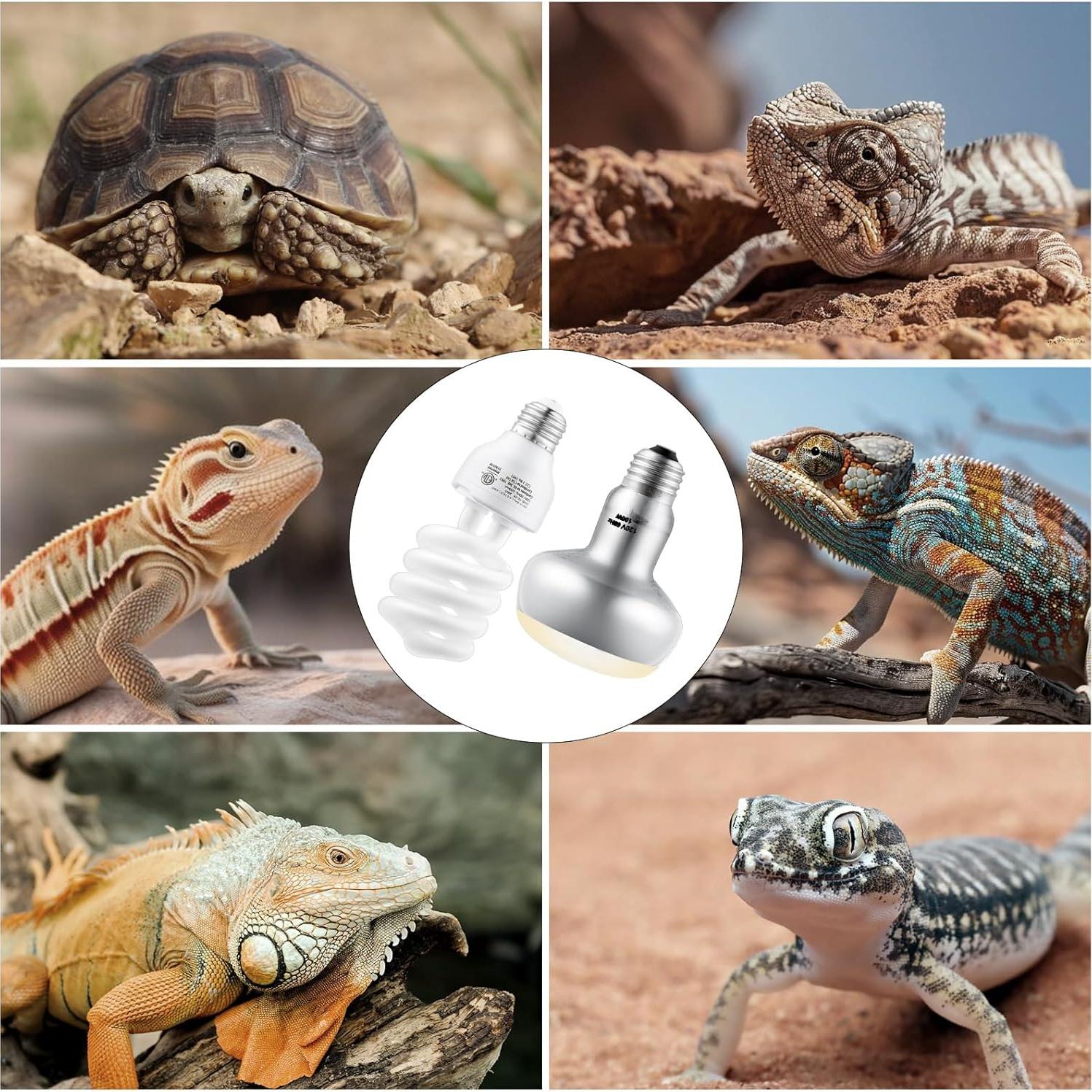 Paquete Bombillas Calor UVA 100W + UVB 26W 10.0 DXOPHIEX