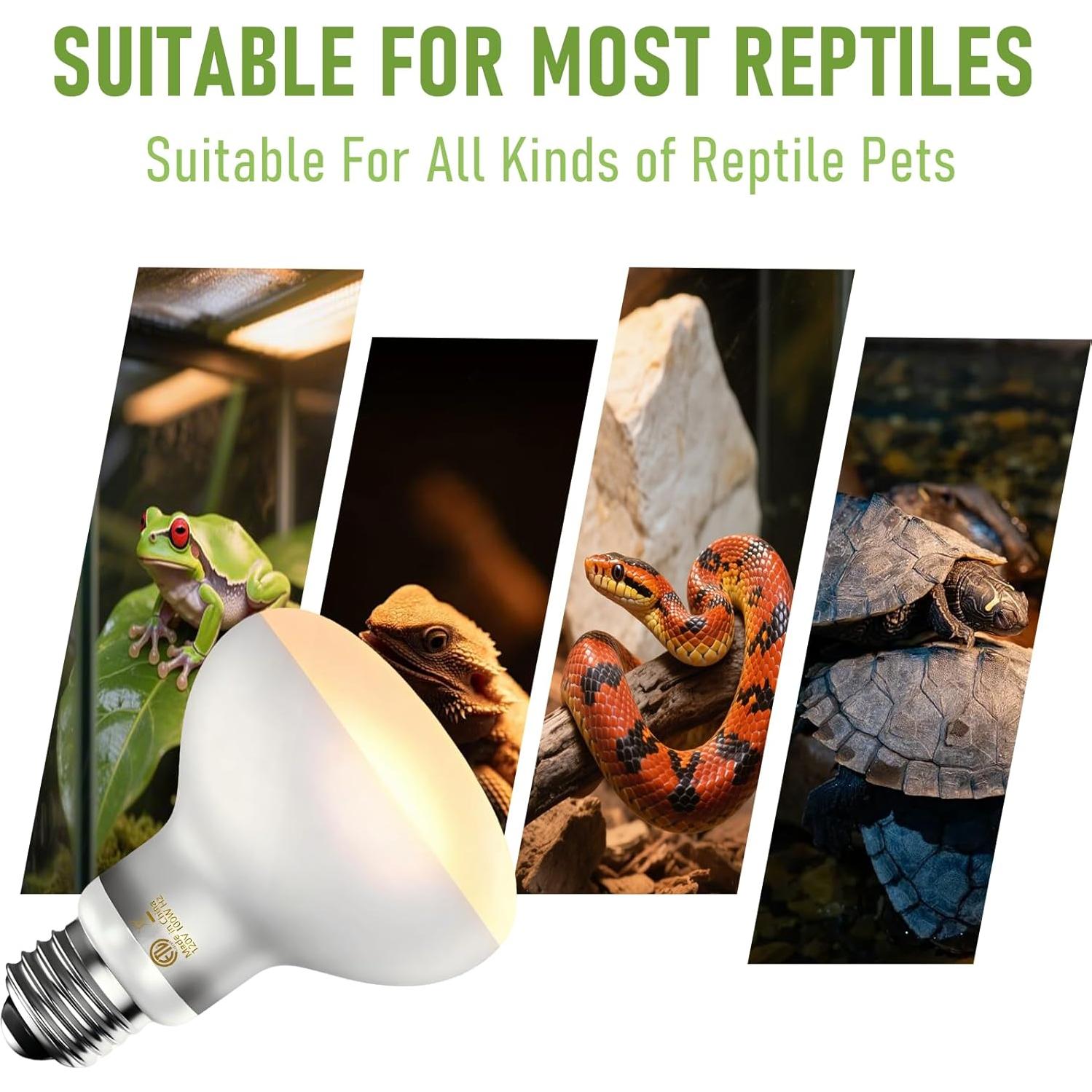 Bombillas de Calor para Reptiles Repticircle 100W - Paquete de 2