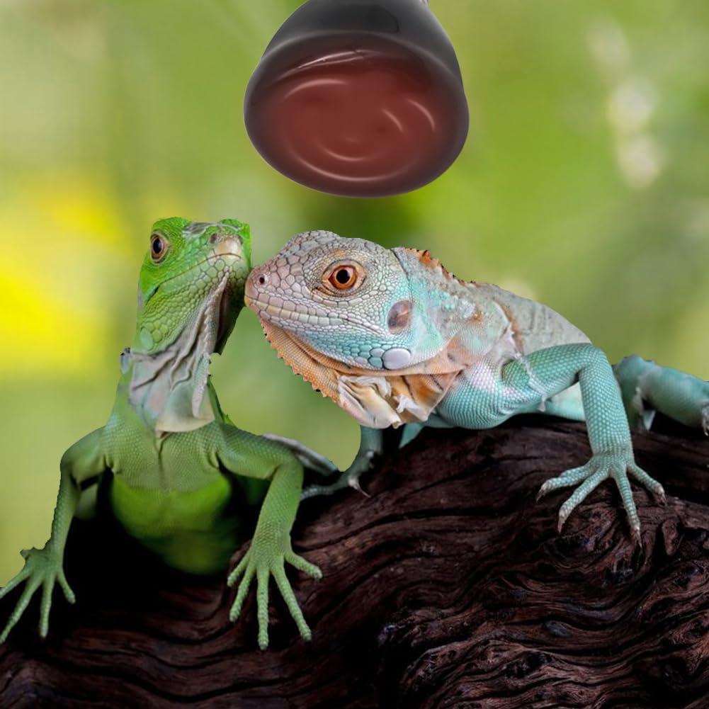 Mini Lámpara de Calor Infrarroja Cerámica APlayfulBee 50W