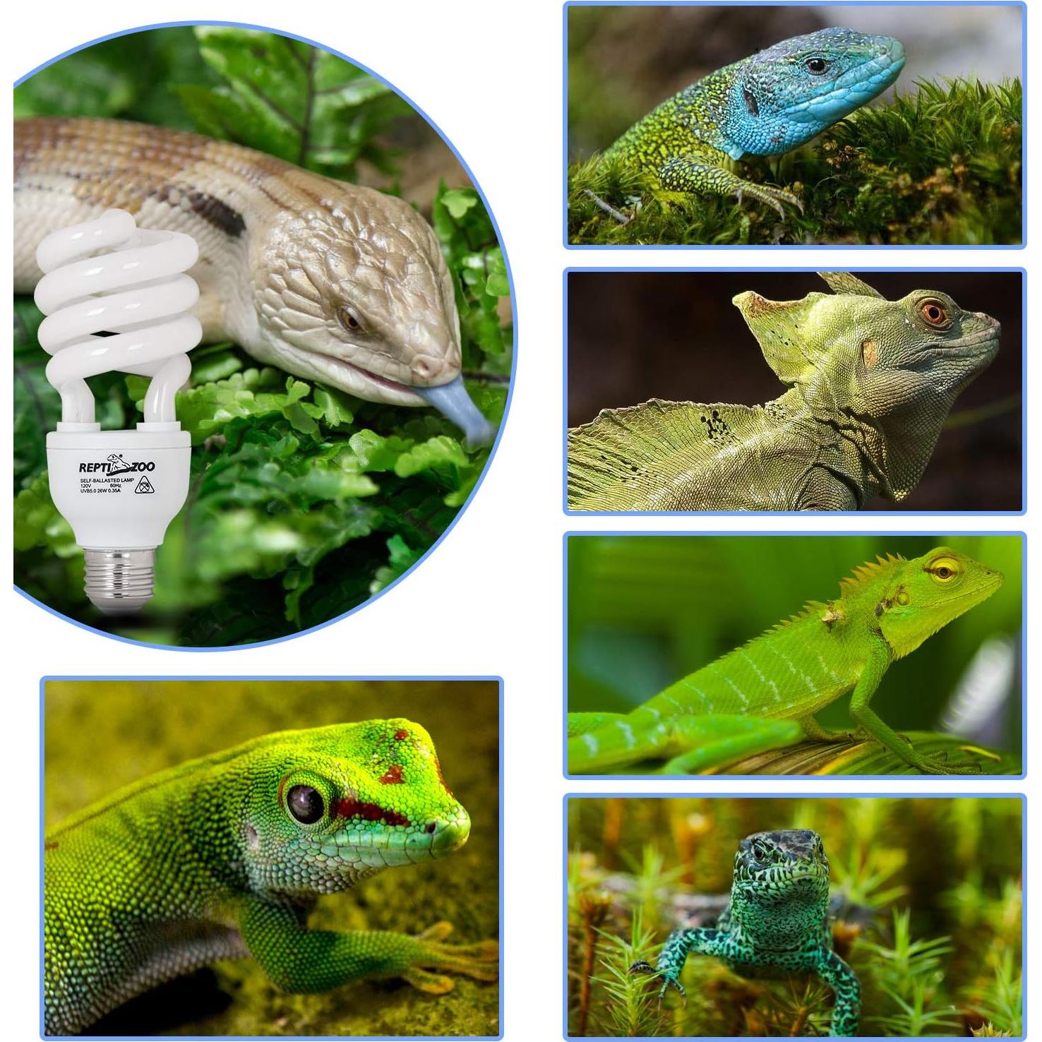 Lámpara de Calor UVB 15W Repti Zoo para Reptiles