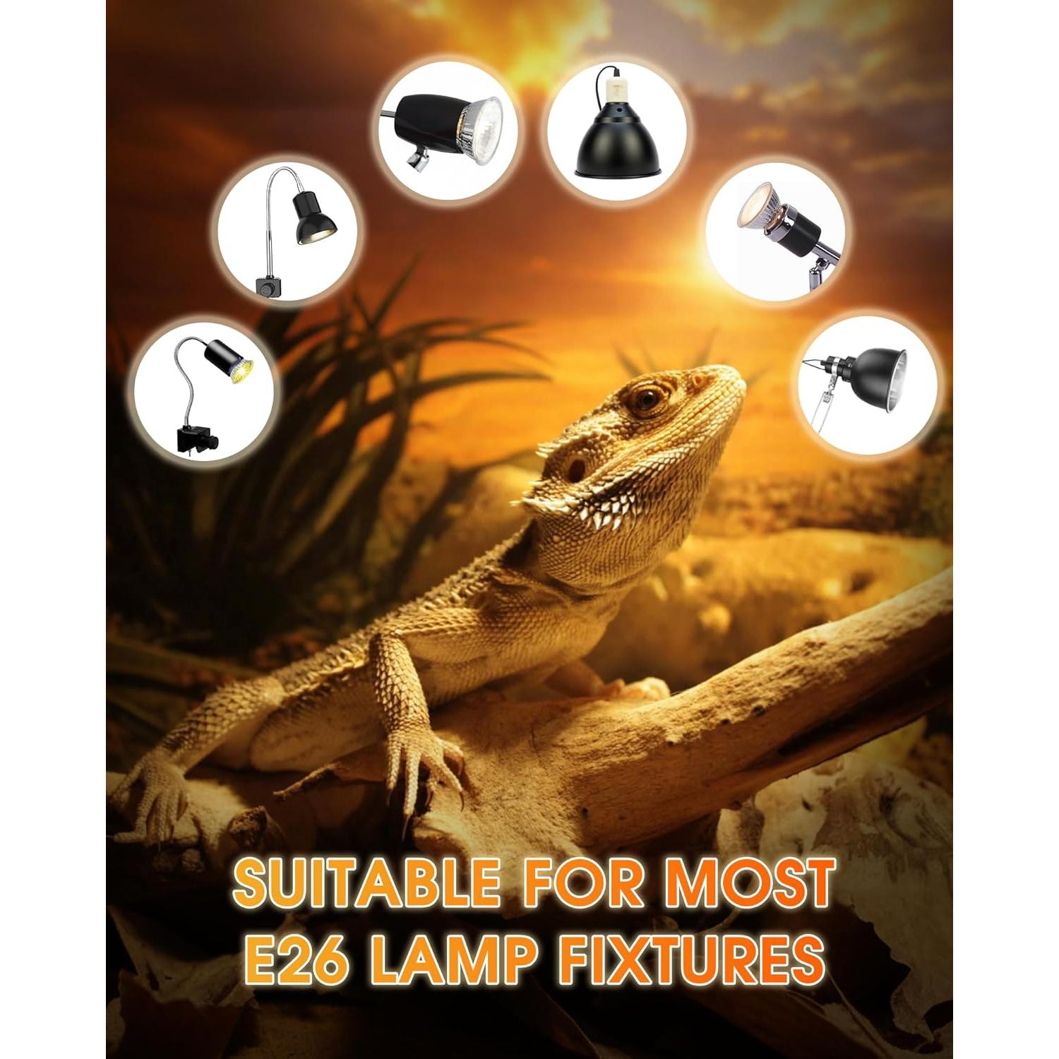 Lámpara de Calor UVA+UVB 50W EvaStary - Paquete de 4 Bombillas