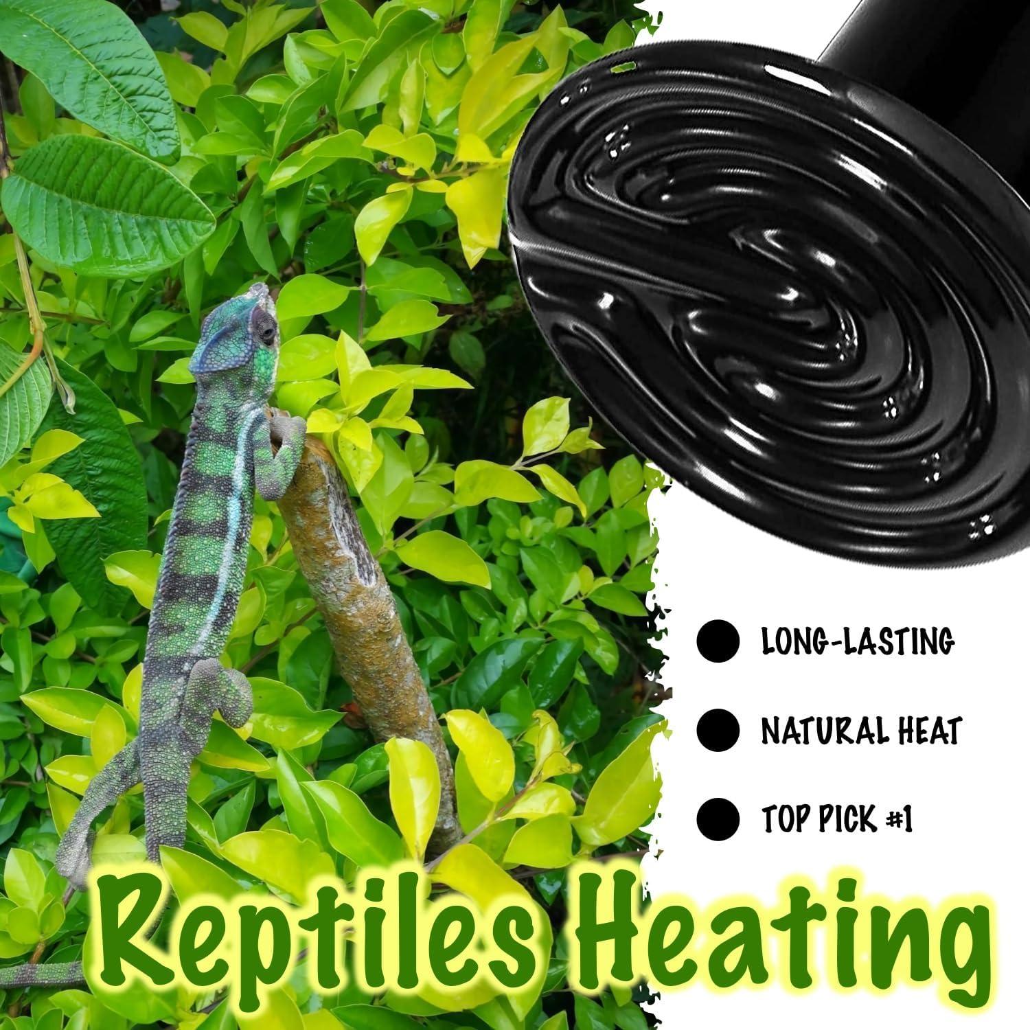 Emisor de Calor Cerámico 100W ReptiKing para Reptiles y Anfibios