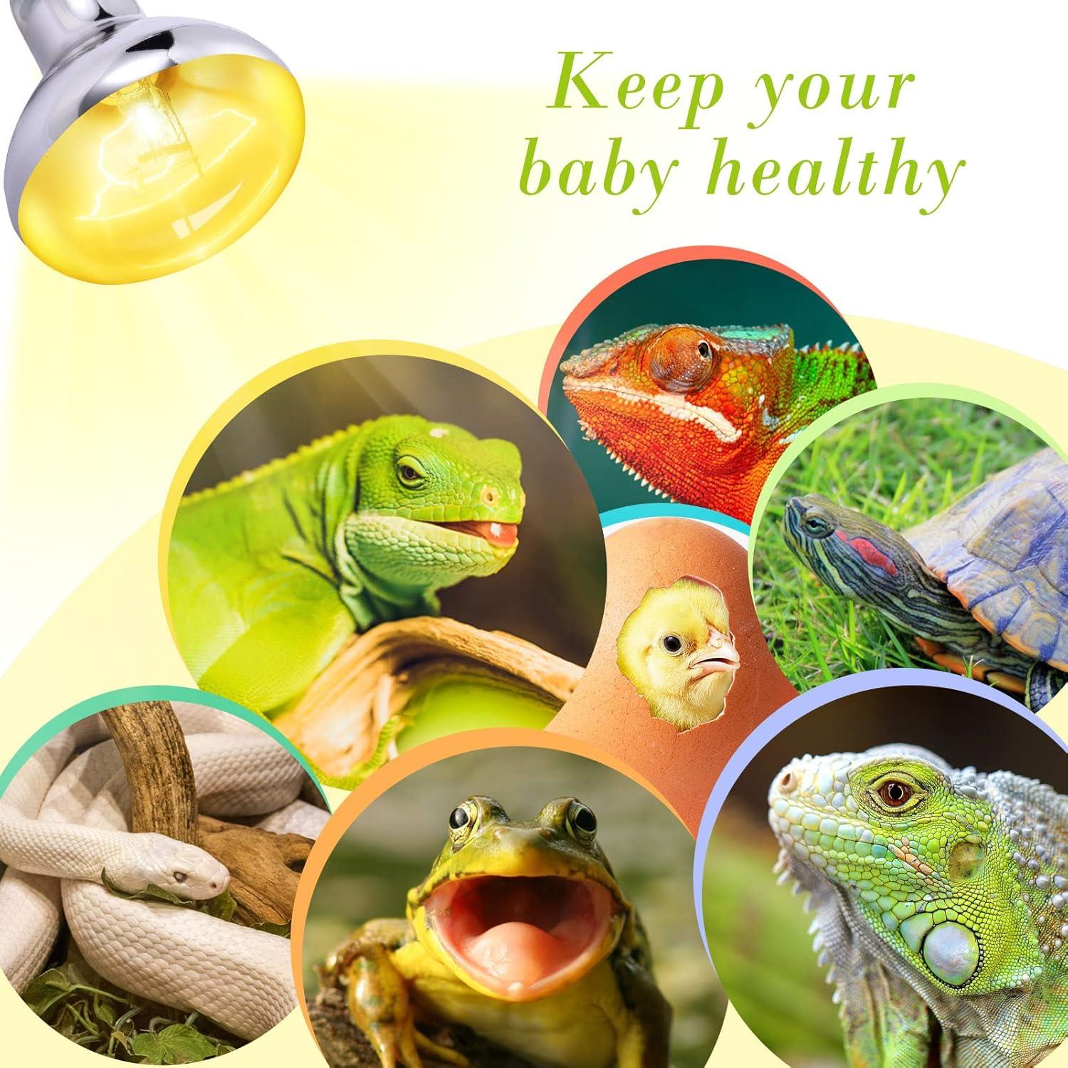 Paquete de 2 Lámparas UVB UVA 100W Lyderpet para Reptiles