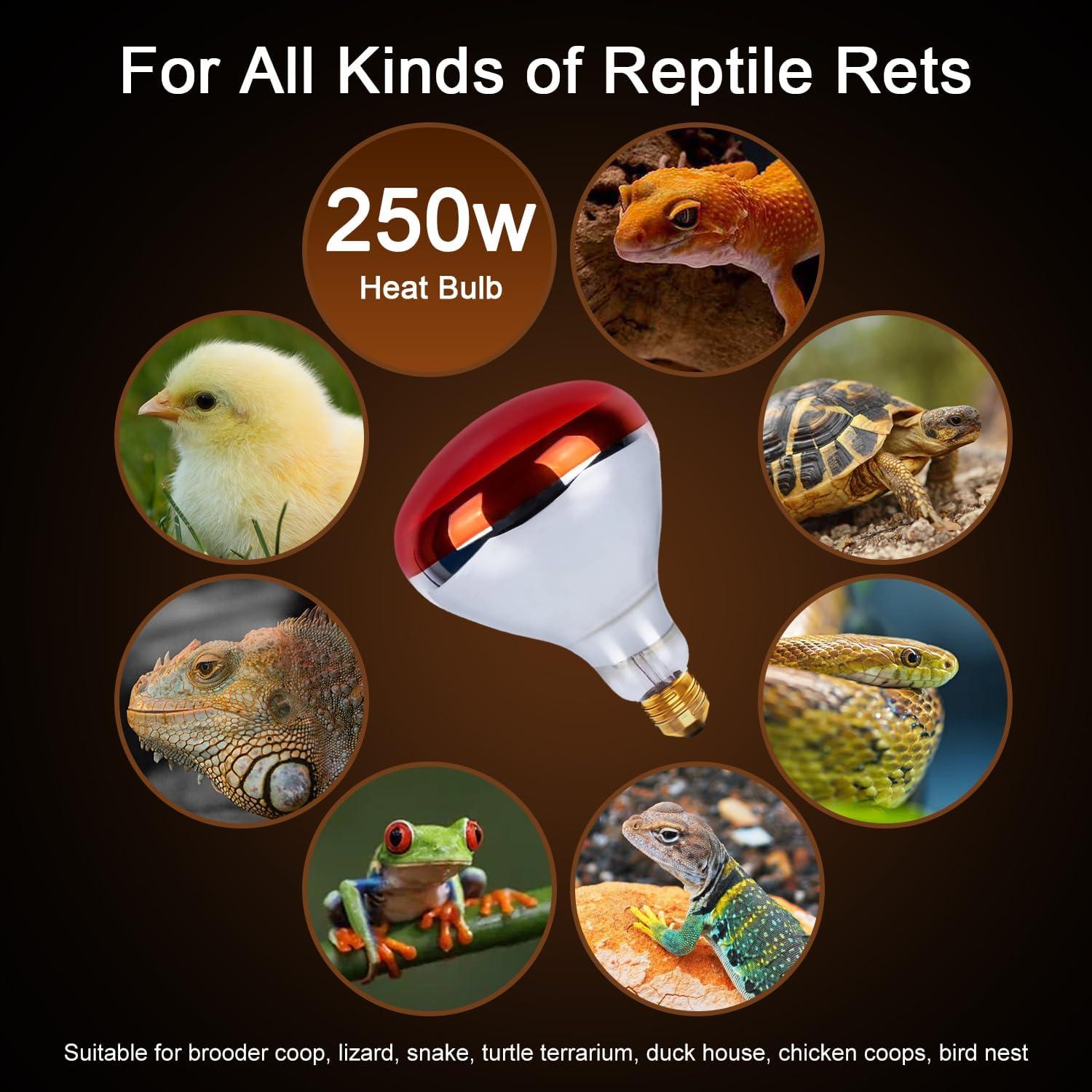 Lámpara de Calor Infrarroja MISDOOD 250W Paquete de 2