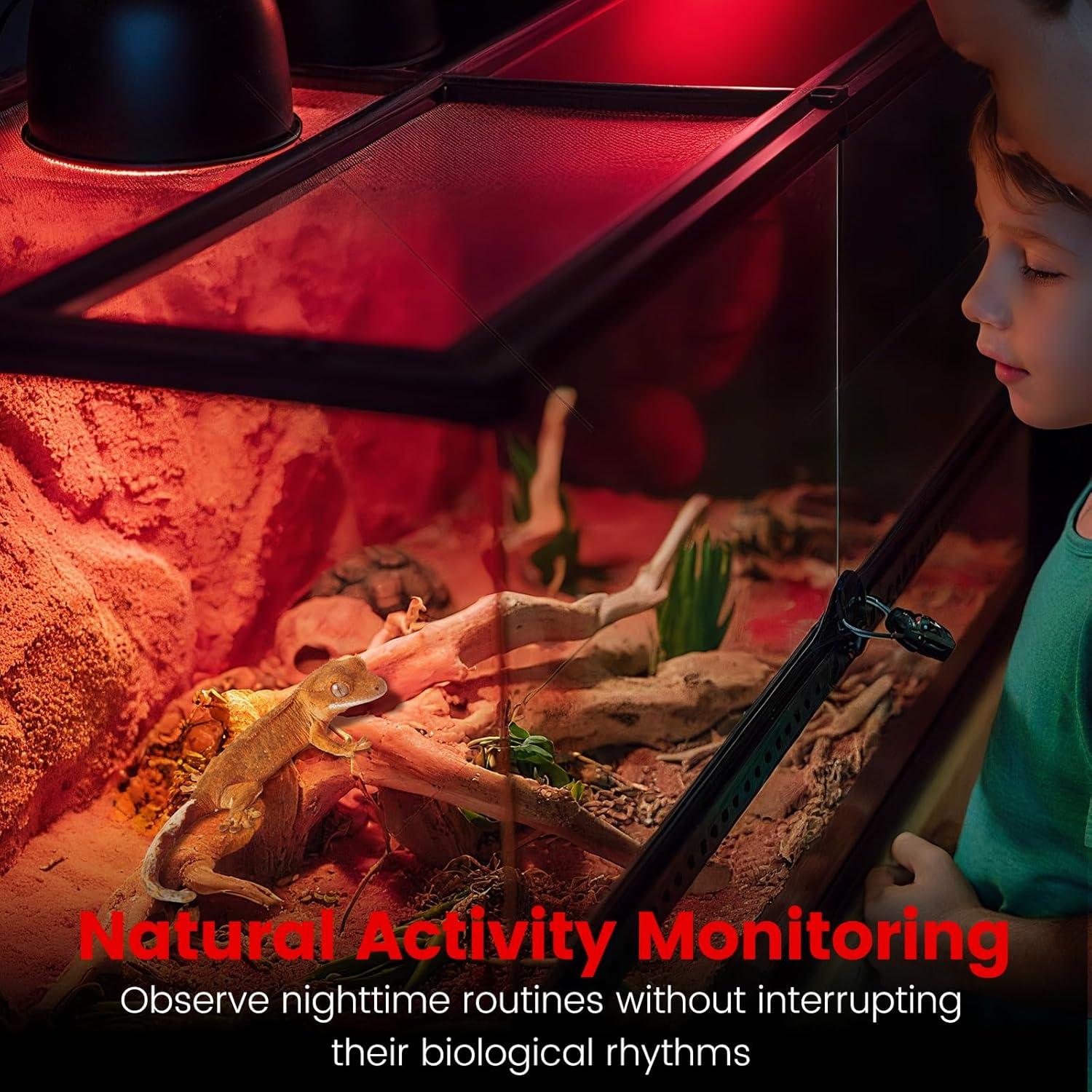 Paquete de 2 Lámparas de Calor Infrarrojo 150W REPTITRIP