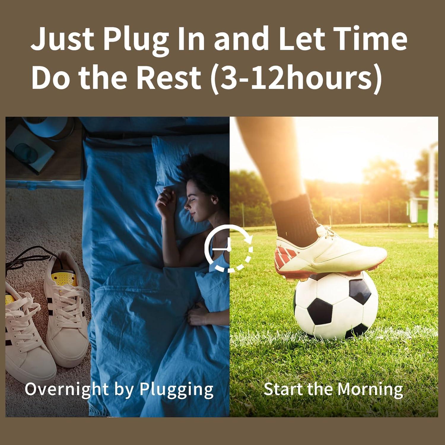 Secadora de Calzado Portátil lolobaer ZLHX-01 55°C Automática