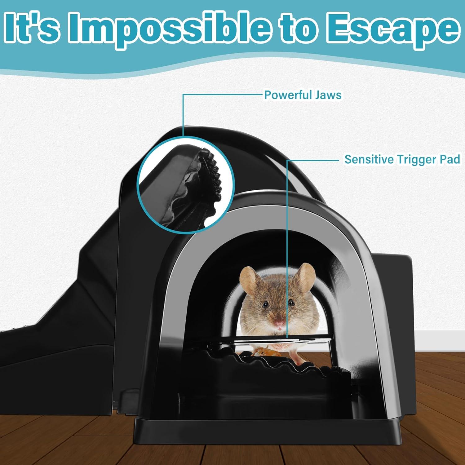 Trampas para Ratas Motrapso - Paquete de 4 Unidades Reutilizables