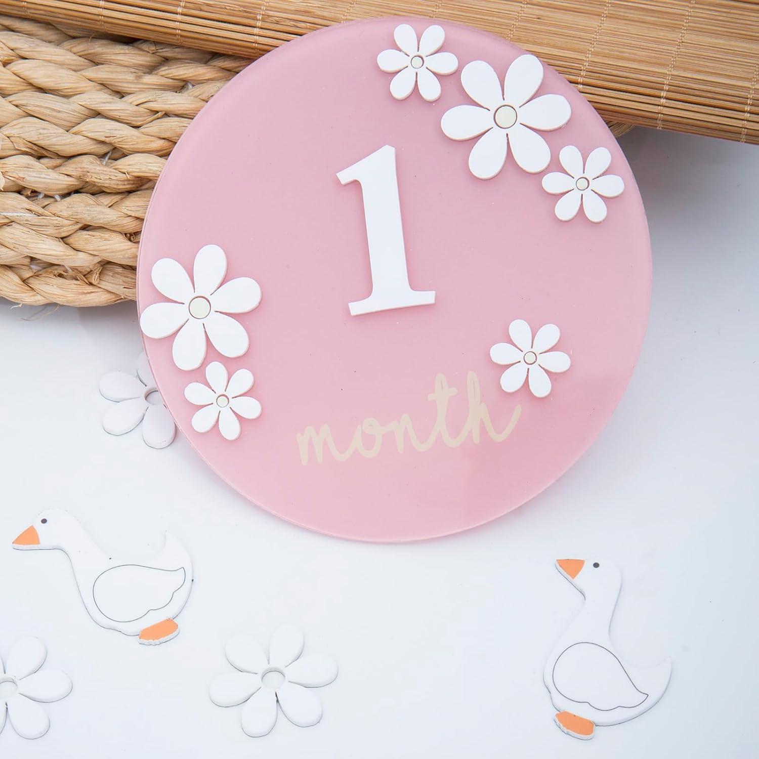 Tarjetas de Hito de Bebé Acrílico Troxueo 12.7 cm 1-12 Meses