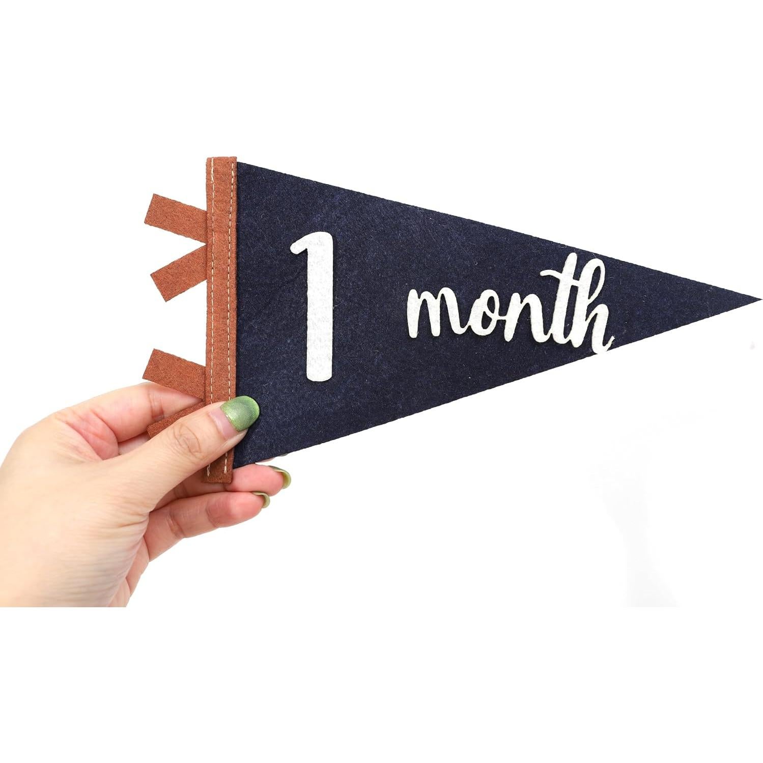 Bandera de Hitos Mensuales para Bebés Agkvw 1 a 12 Meses