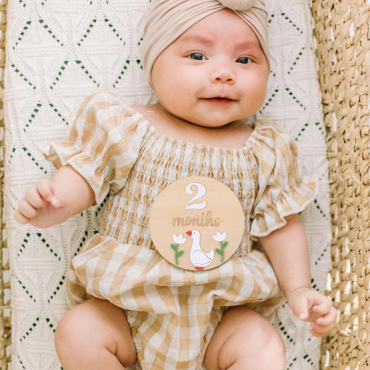 Tablero de Hitos Mensuales Ganso de Madera - 2 Discos + Marcador