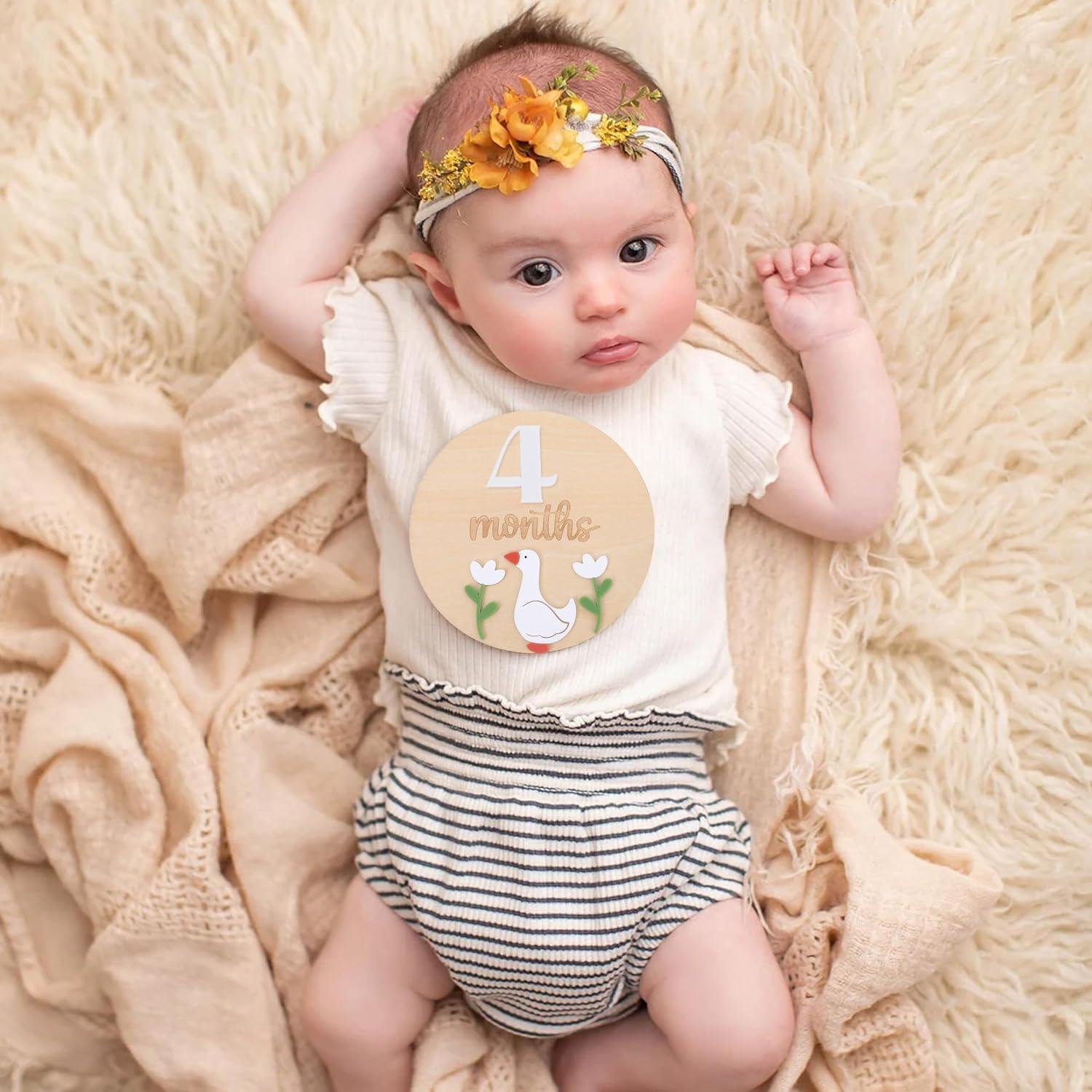 Tablero de Hitos Mensuales Ganso de Madera - 2 Discos + Marcador