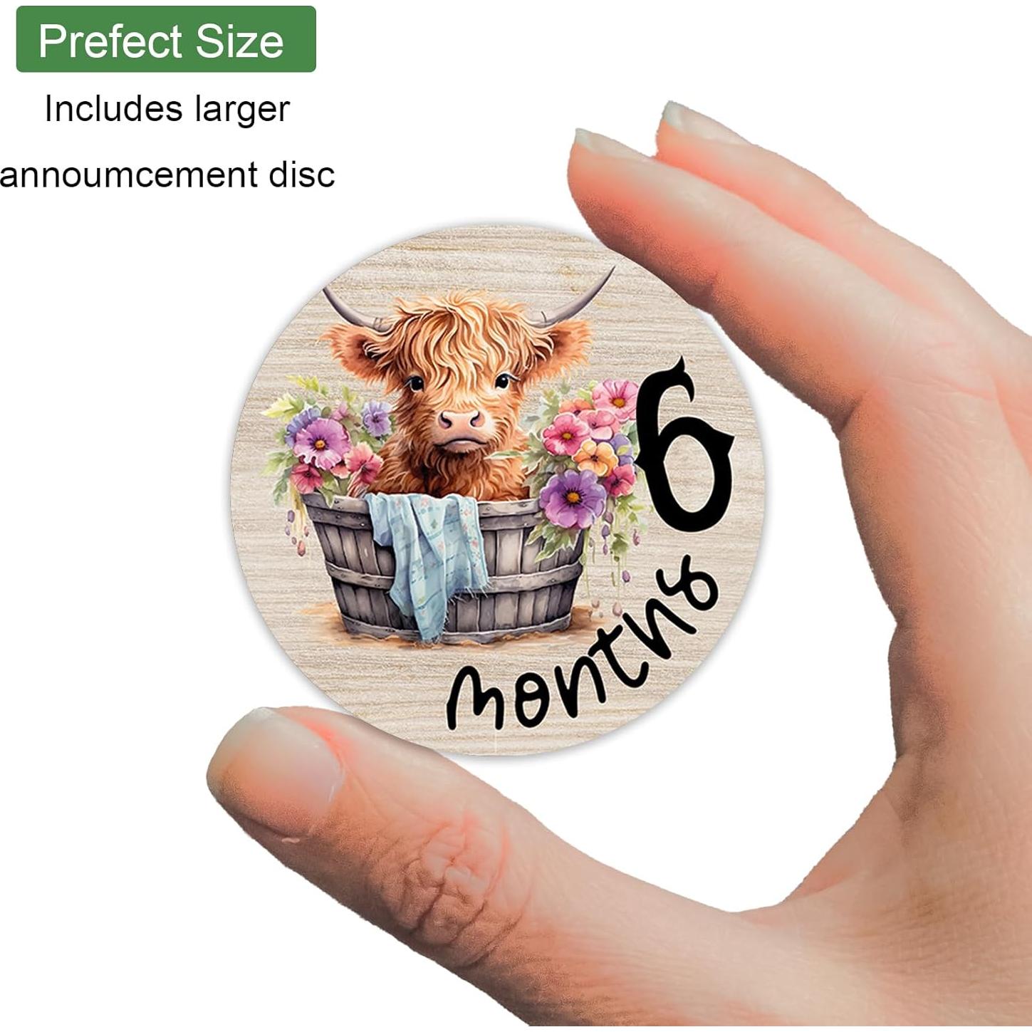 Tarjetas de Hito Mensual de Madera para Bebé - 7 Piezas