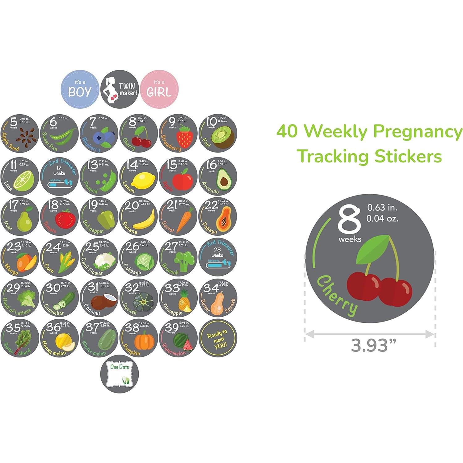 Calcomanías de Embarazo Bebon - 40 Hitos Semanas 5 a 40